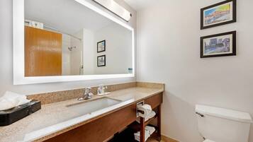 Un baño con un espejo grande, un lavabo, un inodoro y dos cuadros en la pared.