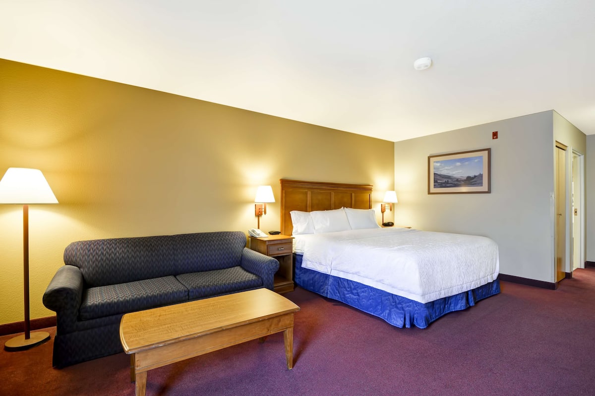 A hotel room with a bed, a sofa, a nightstand, a lamp, and a picture on the wall.