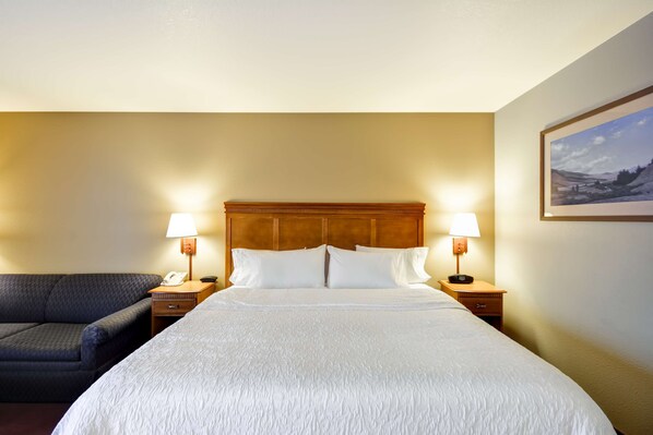 A hotel room with a large bed, two bedside tables with lamps, a dark-colored sofa, and a framed picture on the wall. - Hampton Inn Bozeman (Bozeman)