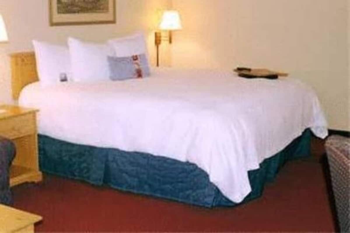 A hotel room with a bed, a nightstand, a lamp, and a painting on the wall.