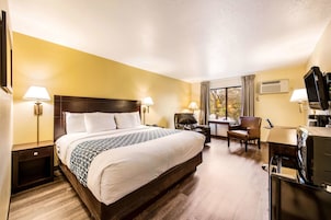 Habitación de hotel con una cama grande, un escritorio, una silla, un televisor y una ventana con cortinas.