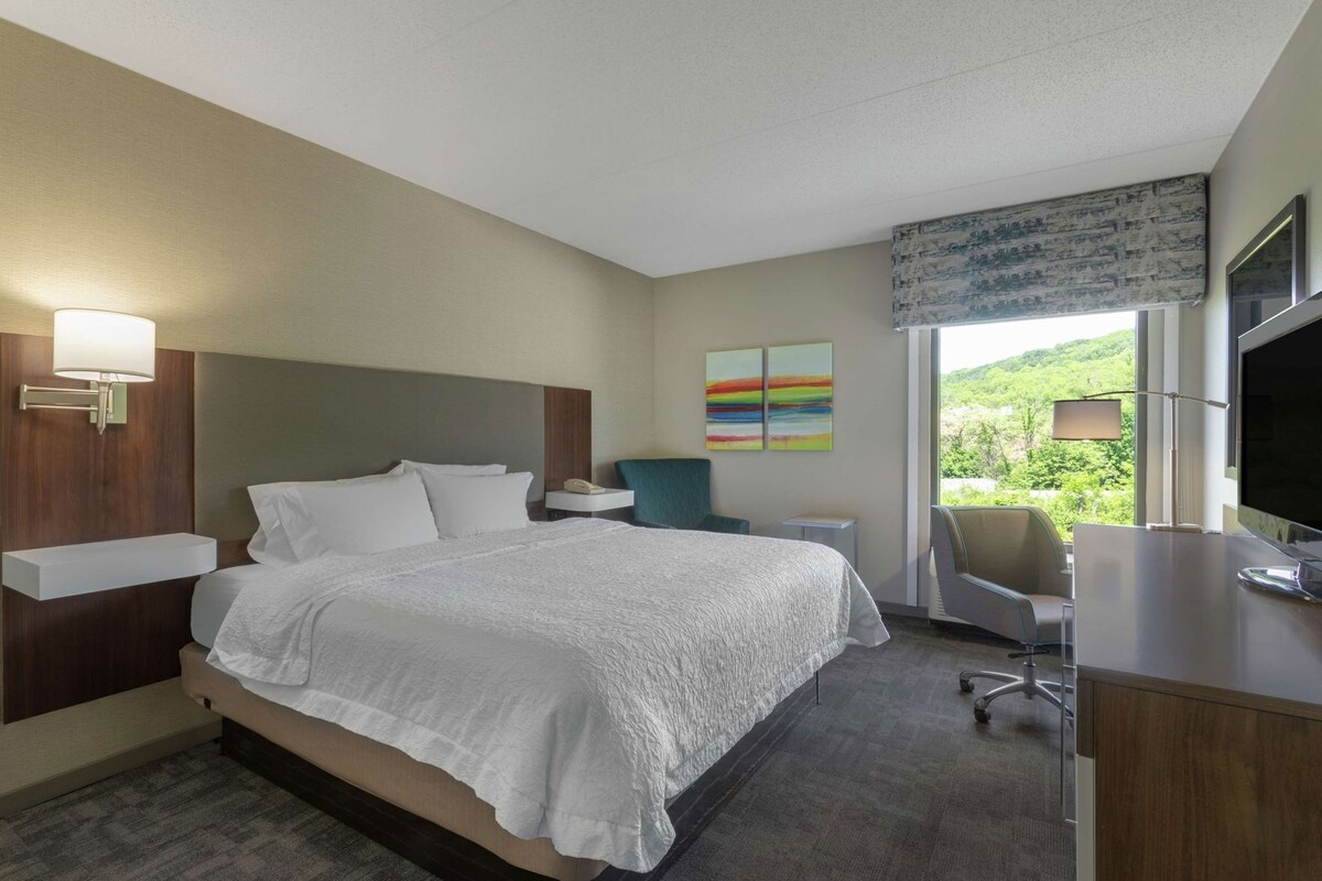 A hotel room with a large bed, a desk, a chair, a TV, and a window with a view of greenery.