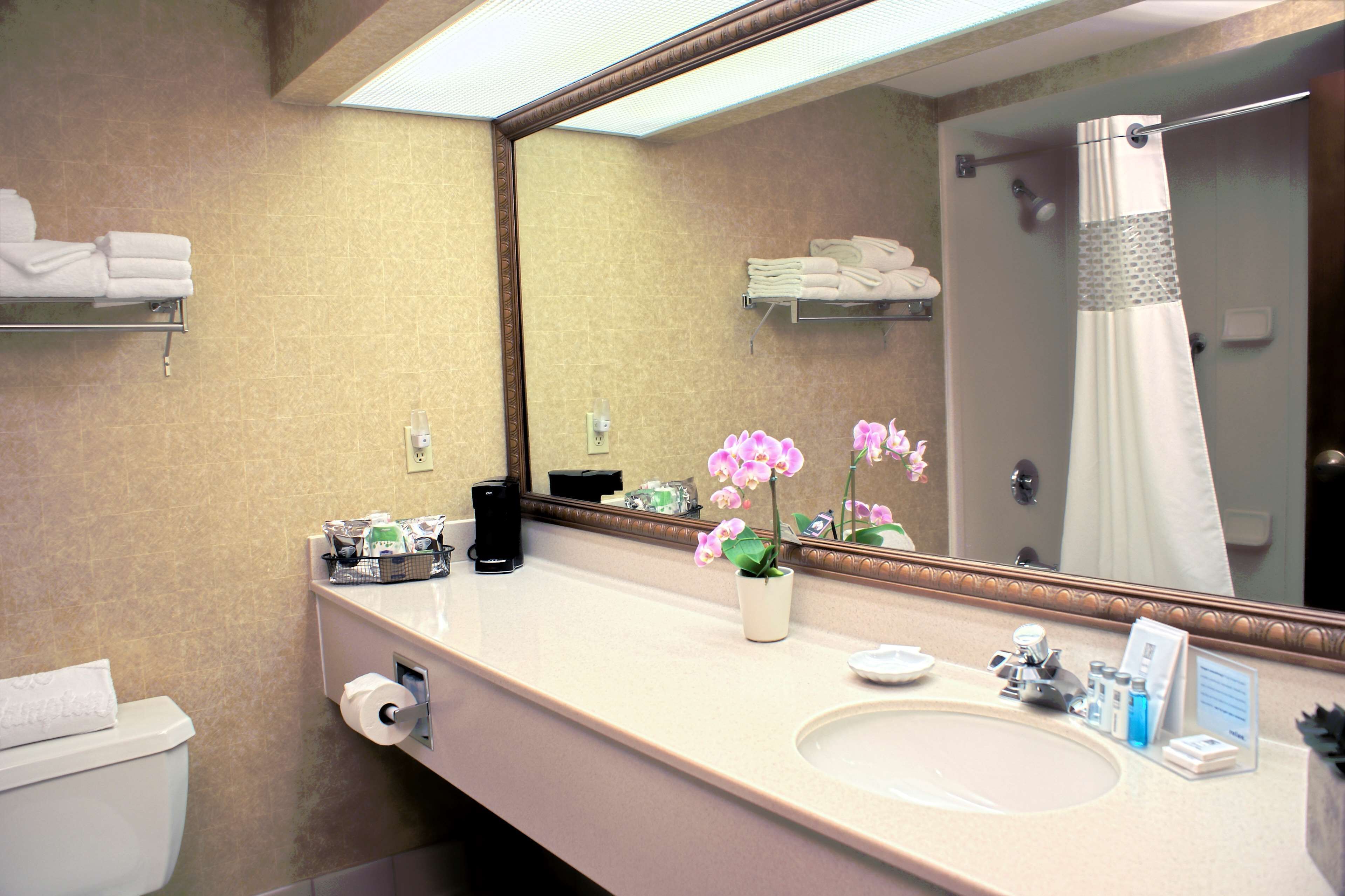 Un baño de hotel con inodoro, lavamanos, espejo y cortina de ducha.