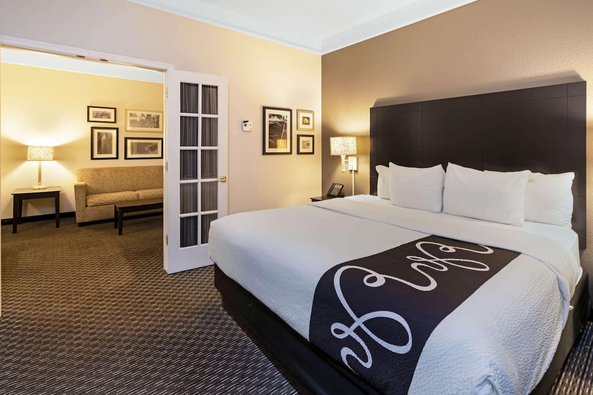 suite, 1 bedroom, non smoking, pool view (1king bed) | premium bedding, desk, iron/ironing board, free cots/infant beds