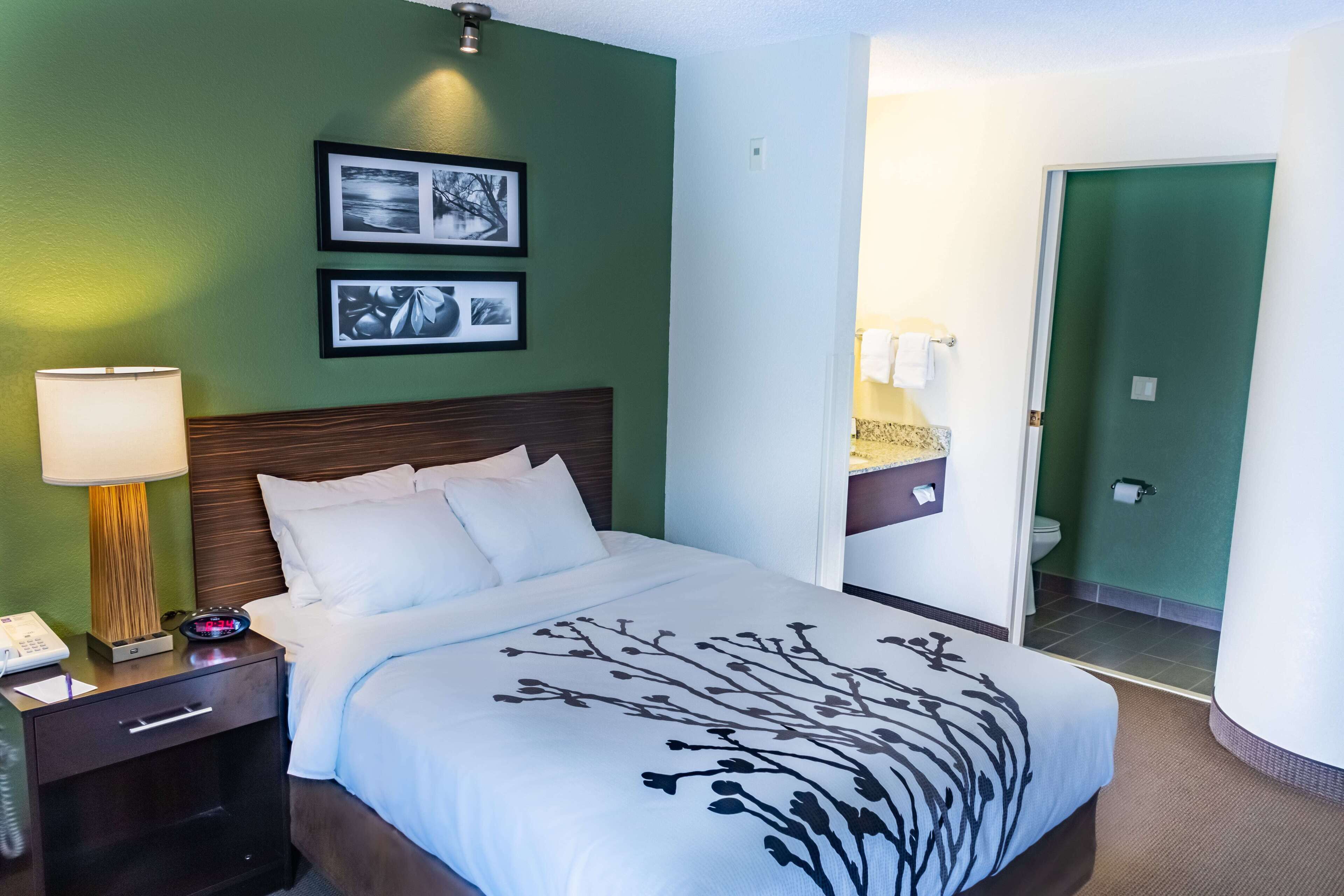 standard room, 2 queen beds, non smoking, refrigerator & microwave | 1 bedroom, premium bedding, individually decorated