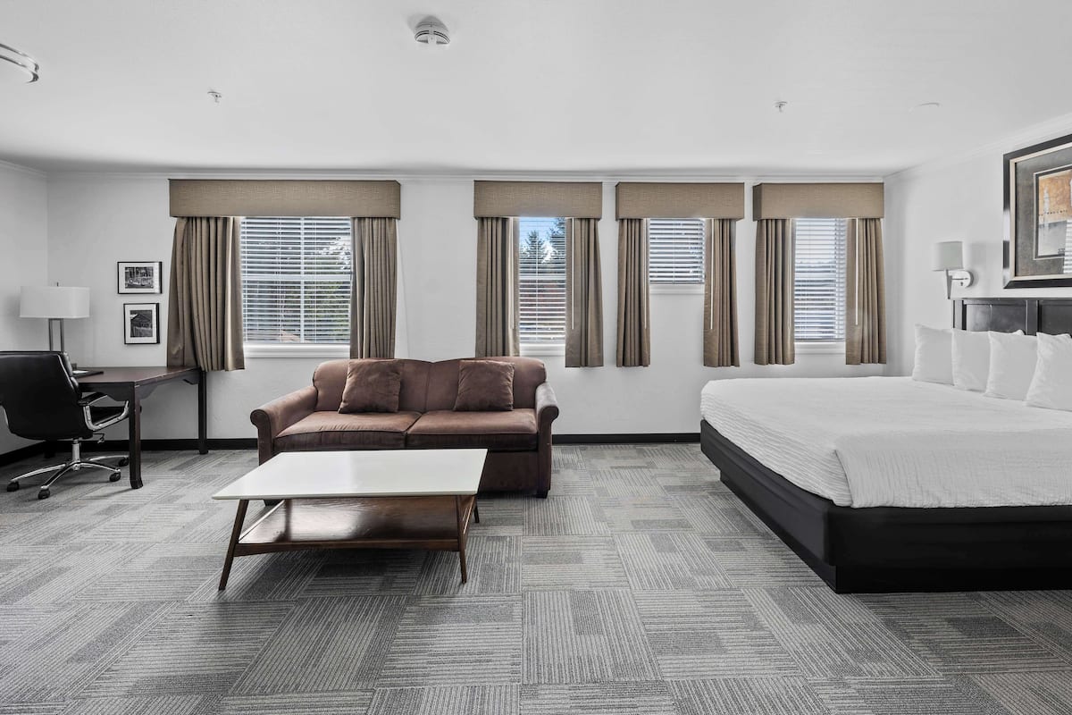 Quarto de hotel com cama, sofá, escrivaninha e cadeira.