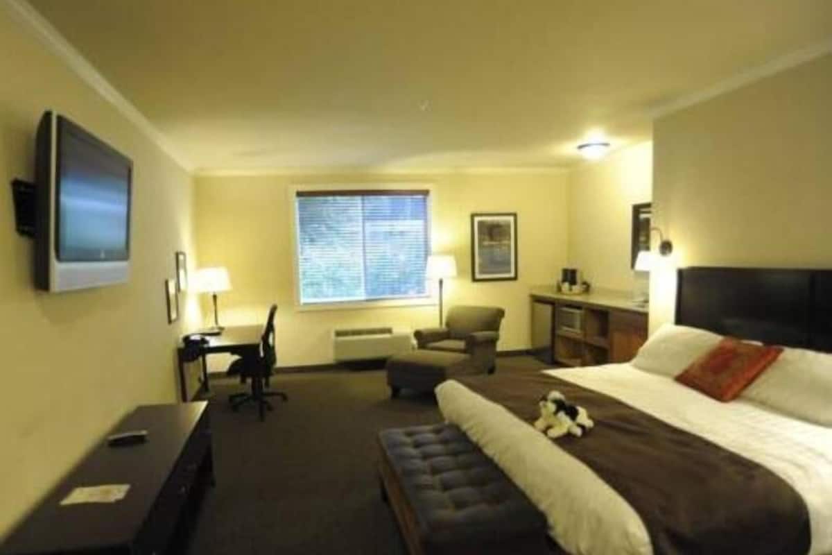 Pillow-top beds, desk, iron/ironing board, cots/infant beds