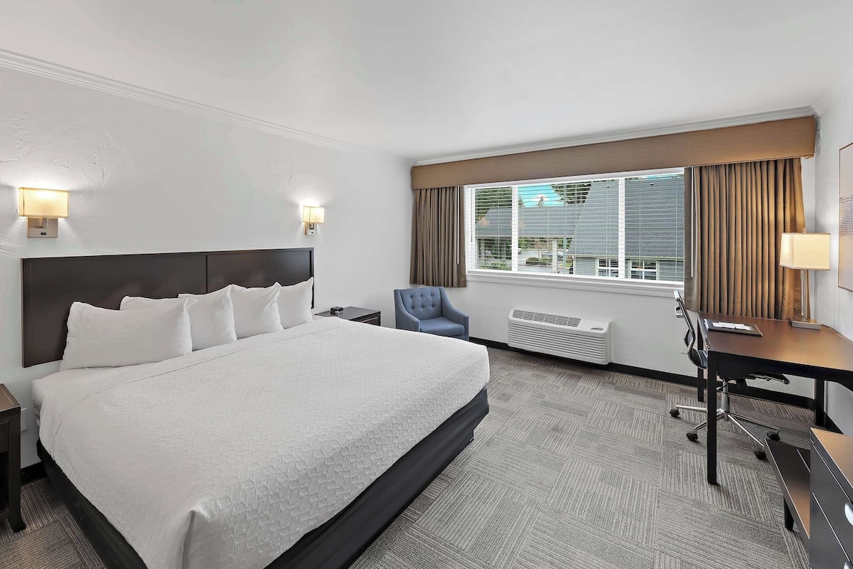 Quarto de hotel com cama grande, escrivaninha, cadeira e janela com cortinas.