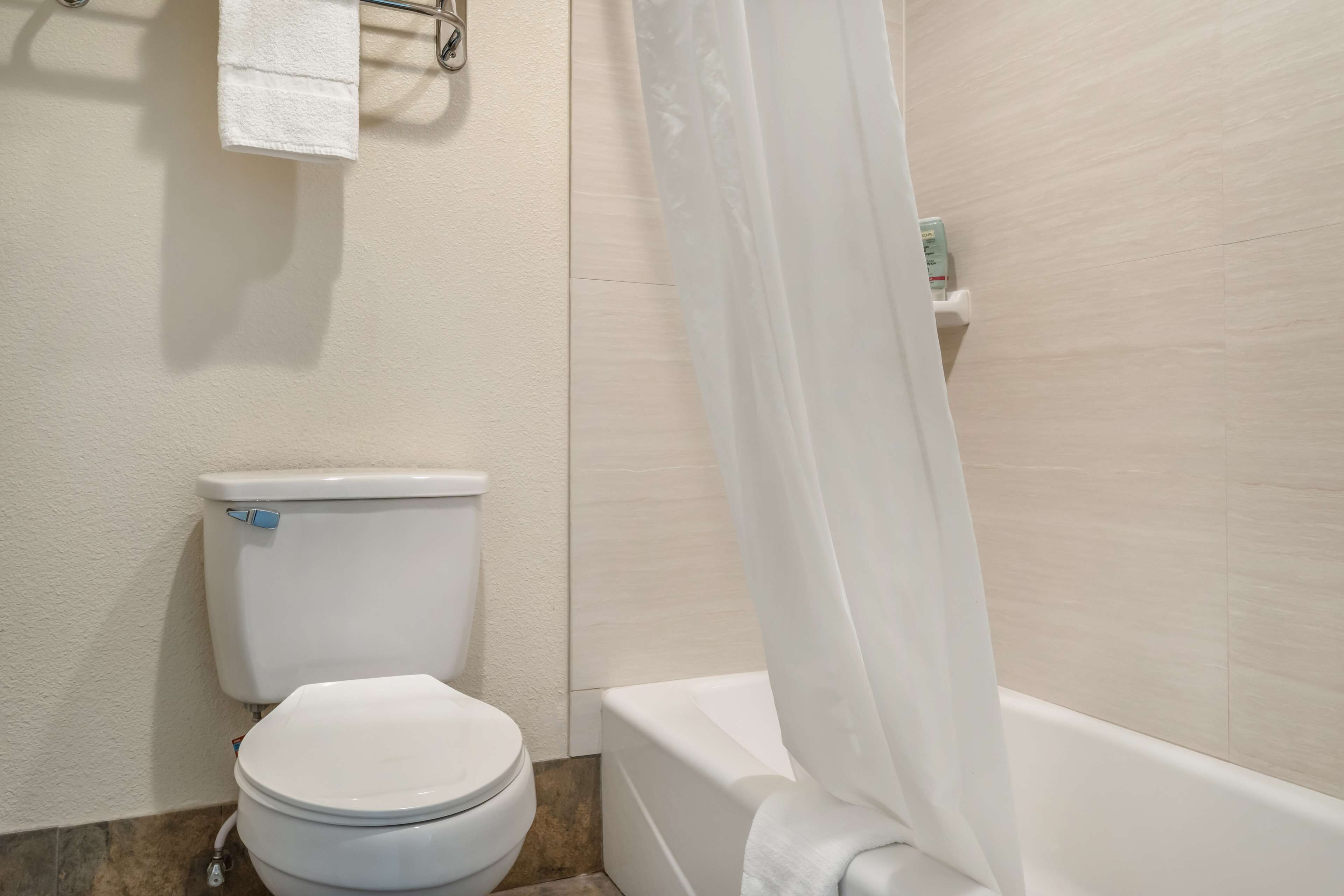 A bathroom with a toilet, a bathtub, and a shower curtain.