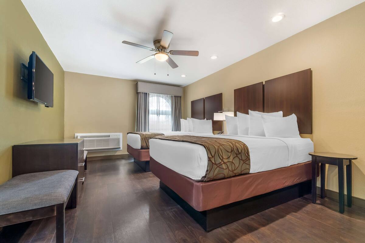 A hotel room with a bed, a desk, a chair, a ceiling fan, and a TV mounted on the wall.