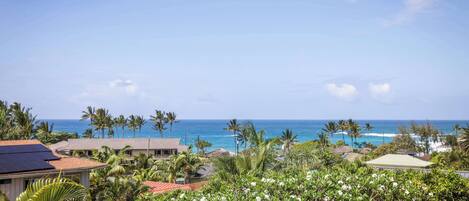 A coastal view with a clear sky, palm trees, and a beach in the distance.