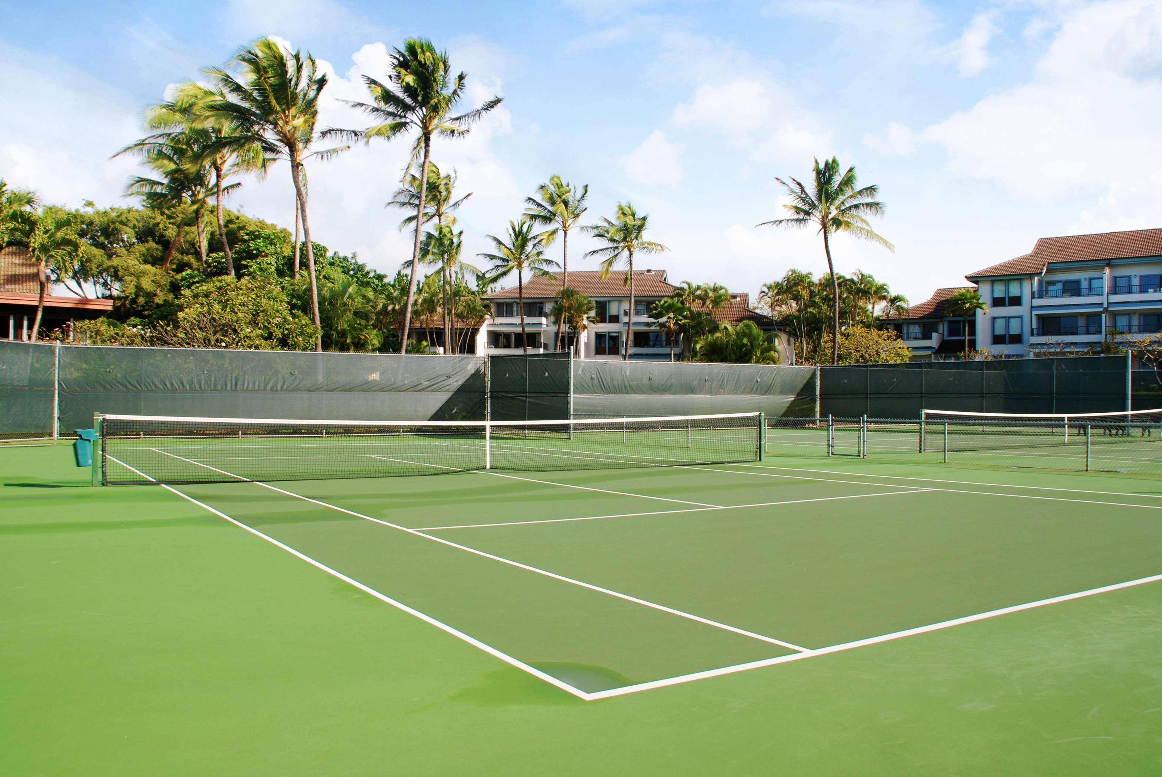 Een tennisbaan met een net, omringd door palmbomen en gebouwen.