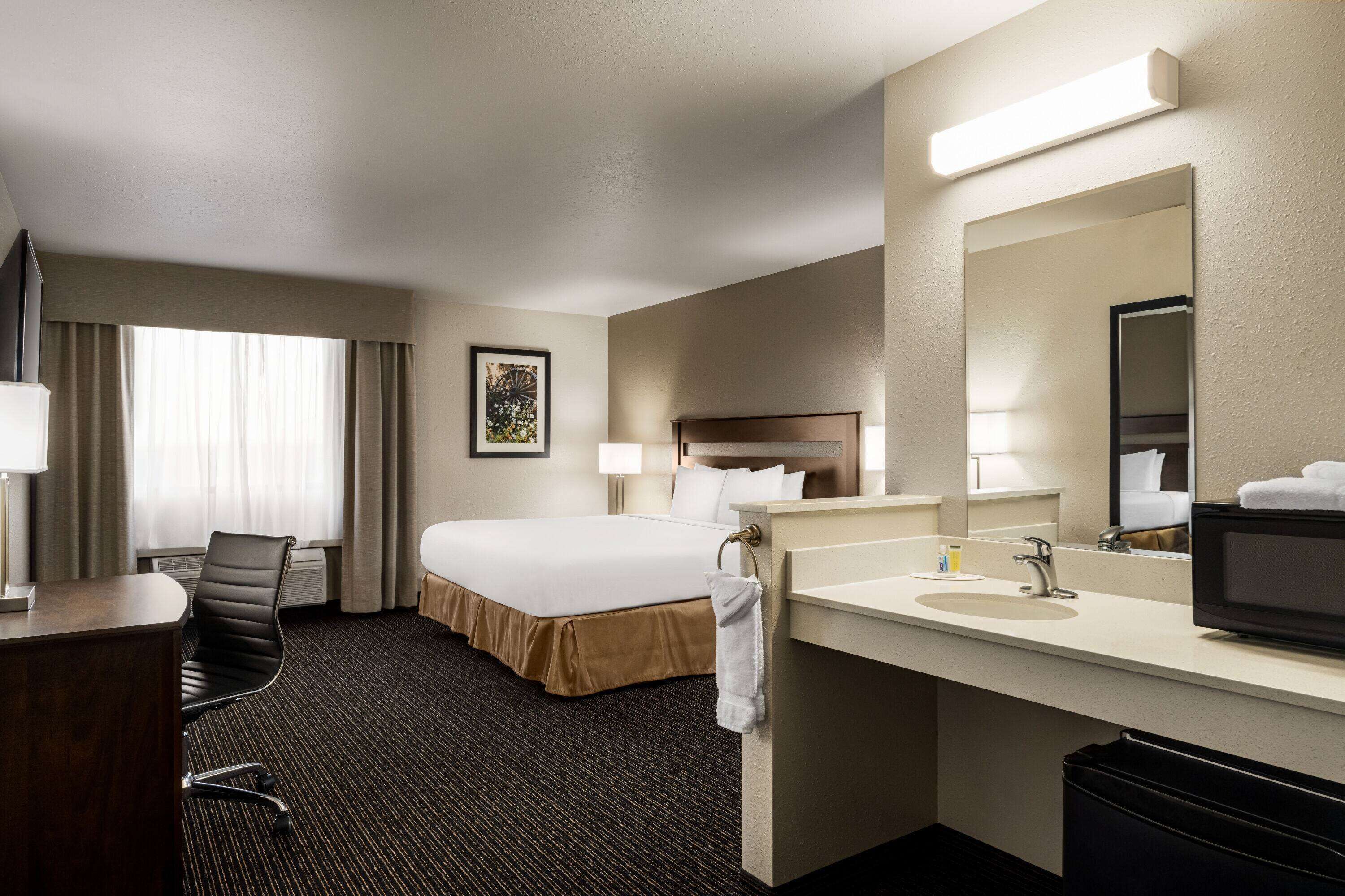 客房, 1 張特大雙人床, 無障礙, 非吸煙房 | 書桌、遮光布/窗簾、熨斗/熨衣板、免費折疊床/加床