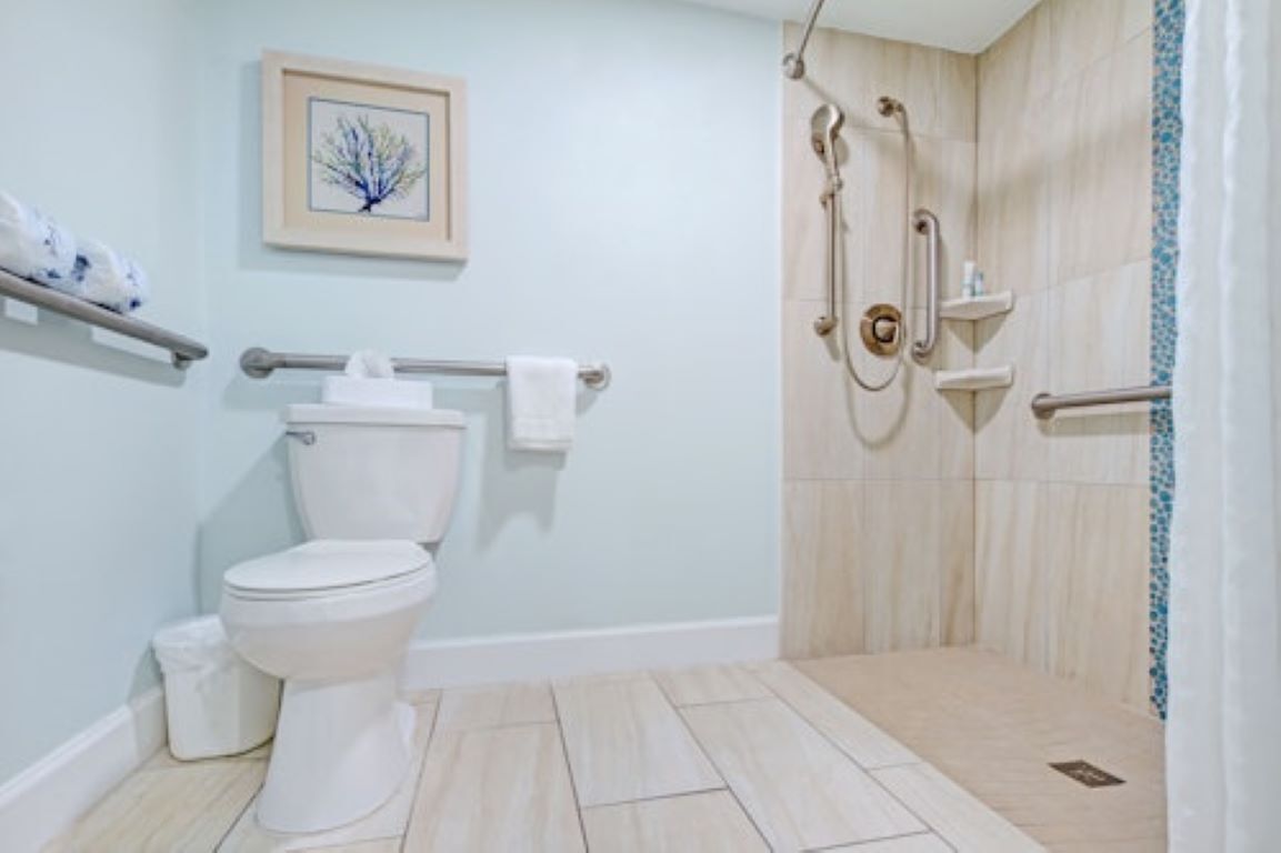 Ein Badezimmer mit Toilette, einer Dusche mit Haltegriffen und einem gerahmten Bild an der Wand.