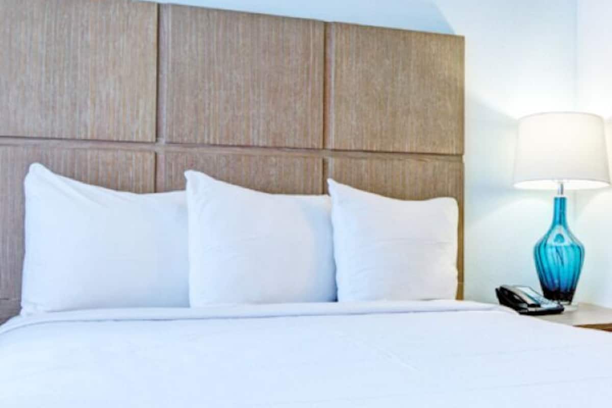 Accessible Studio with sofa bed Street View | 1 bedroom, iron/ironing board, free WiFi, bed sheets