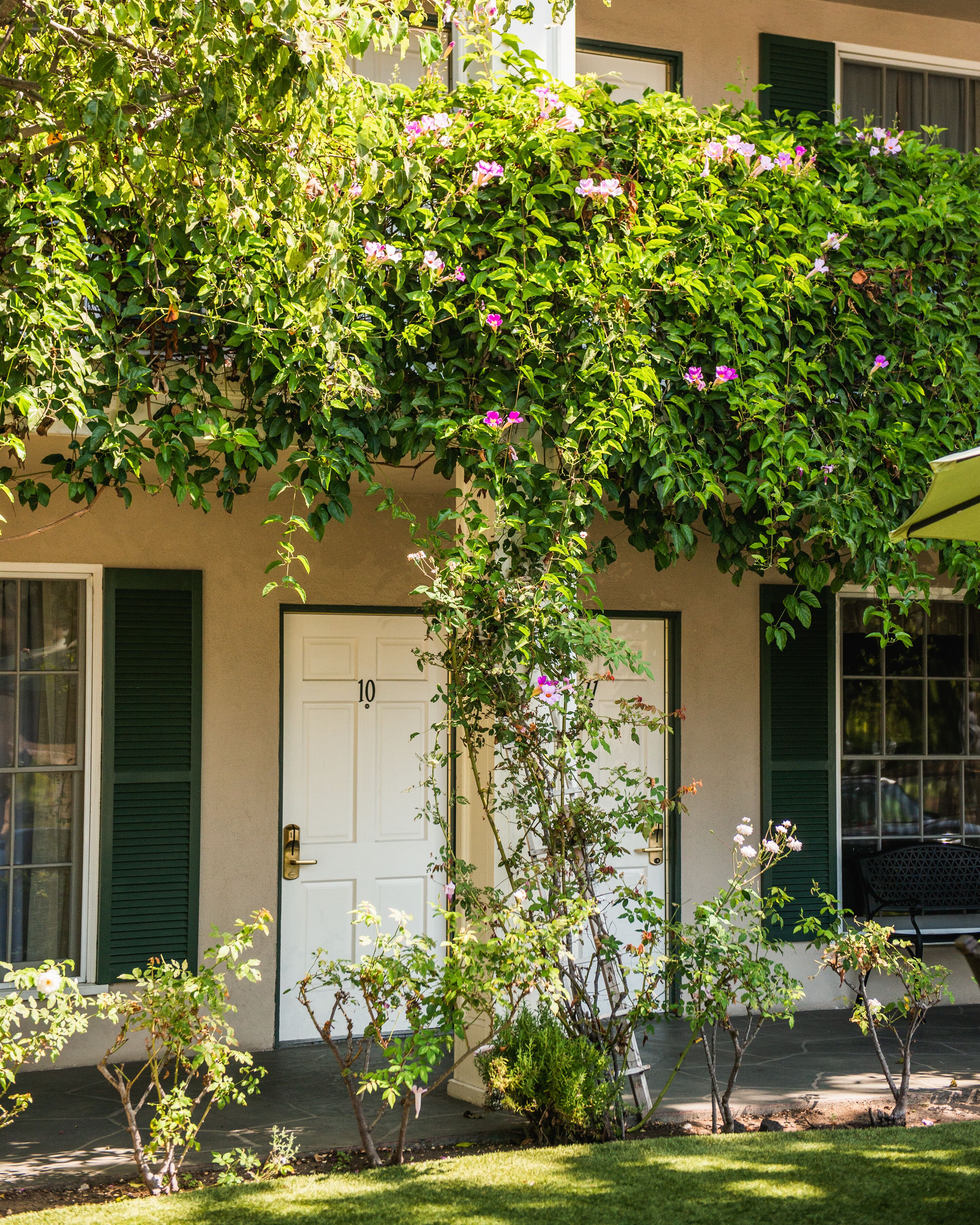 hypo-allergenic bedding, in-room safe, desk, blackout curtains
