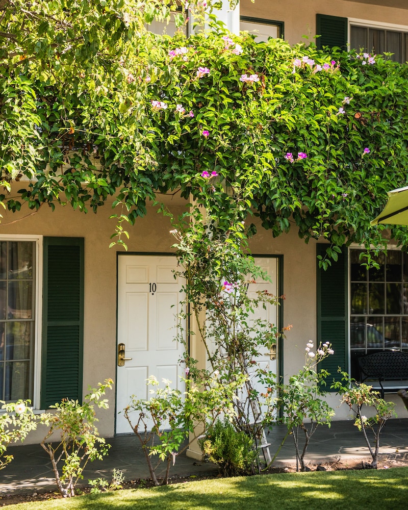 Lavender Inn by the Sea by null