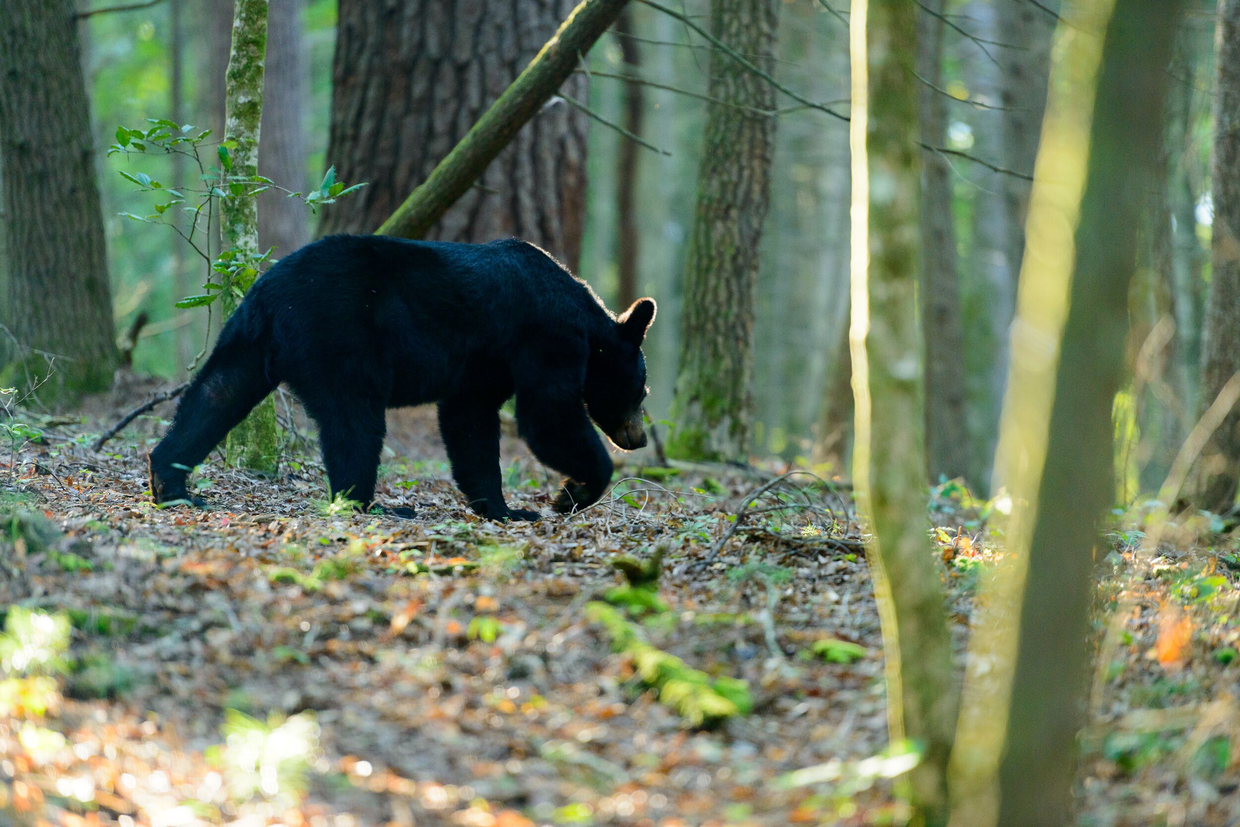 Photo - River Terrace Resort & Convention Center