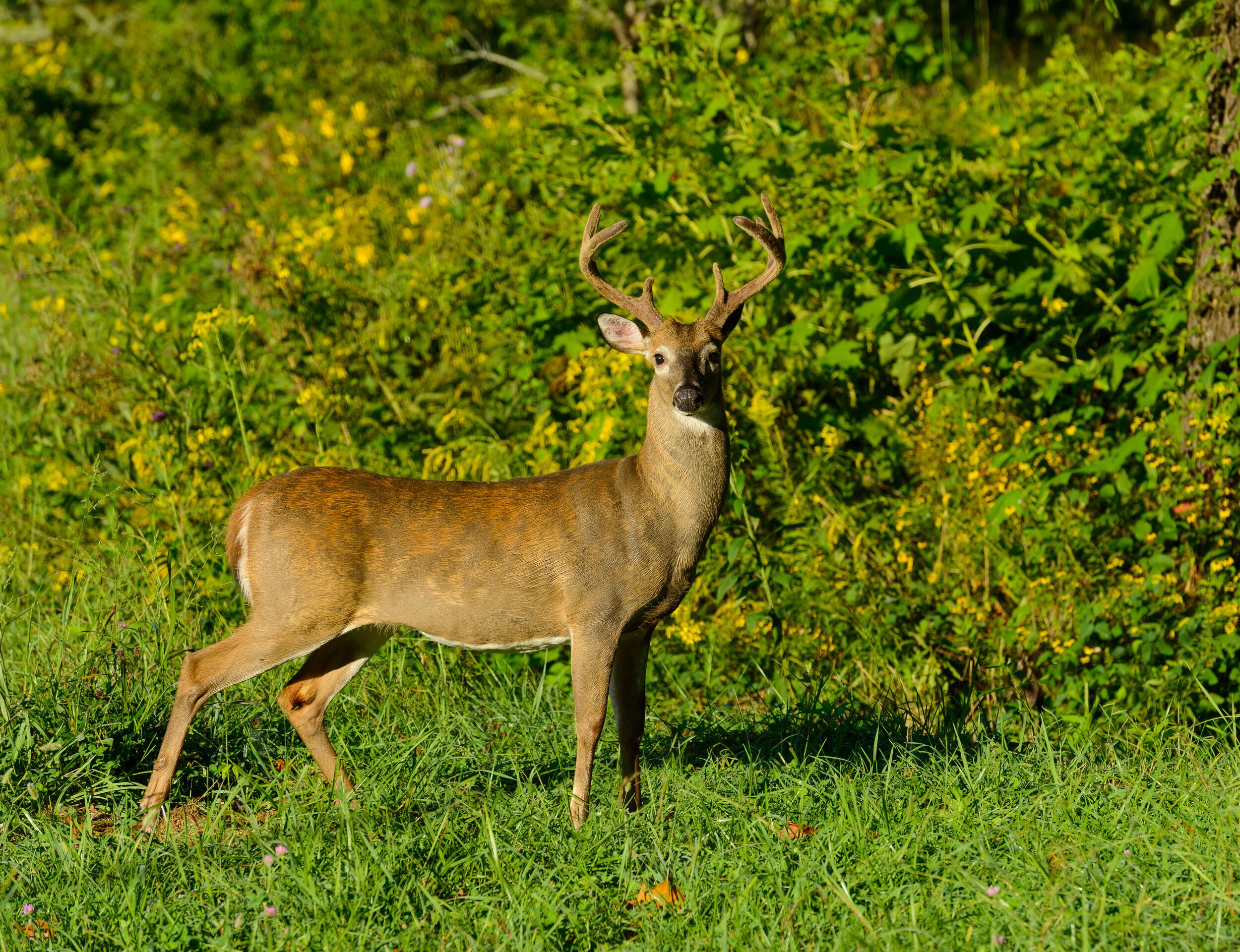 Photo - River Terrace Resort & Convention Center