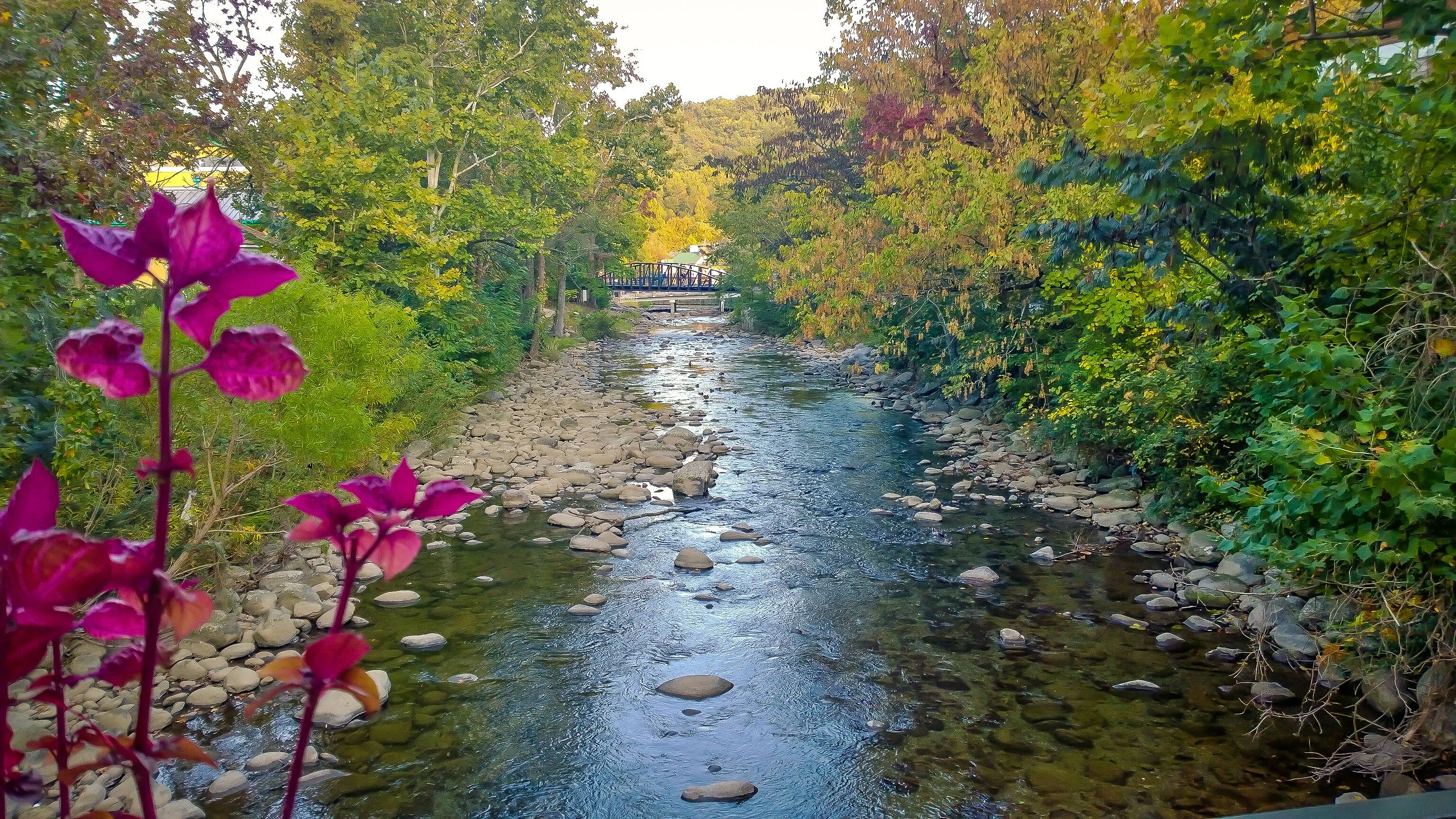 Photo - River Terrace Resort & Convention Center