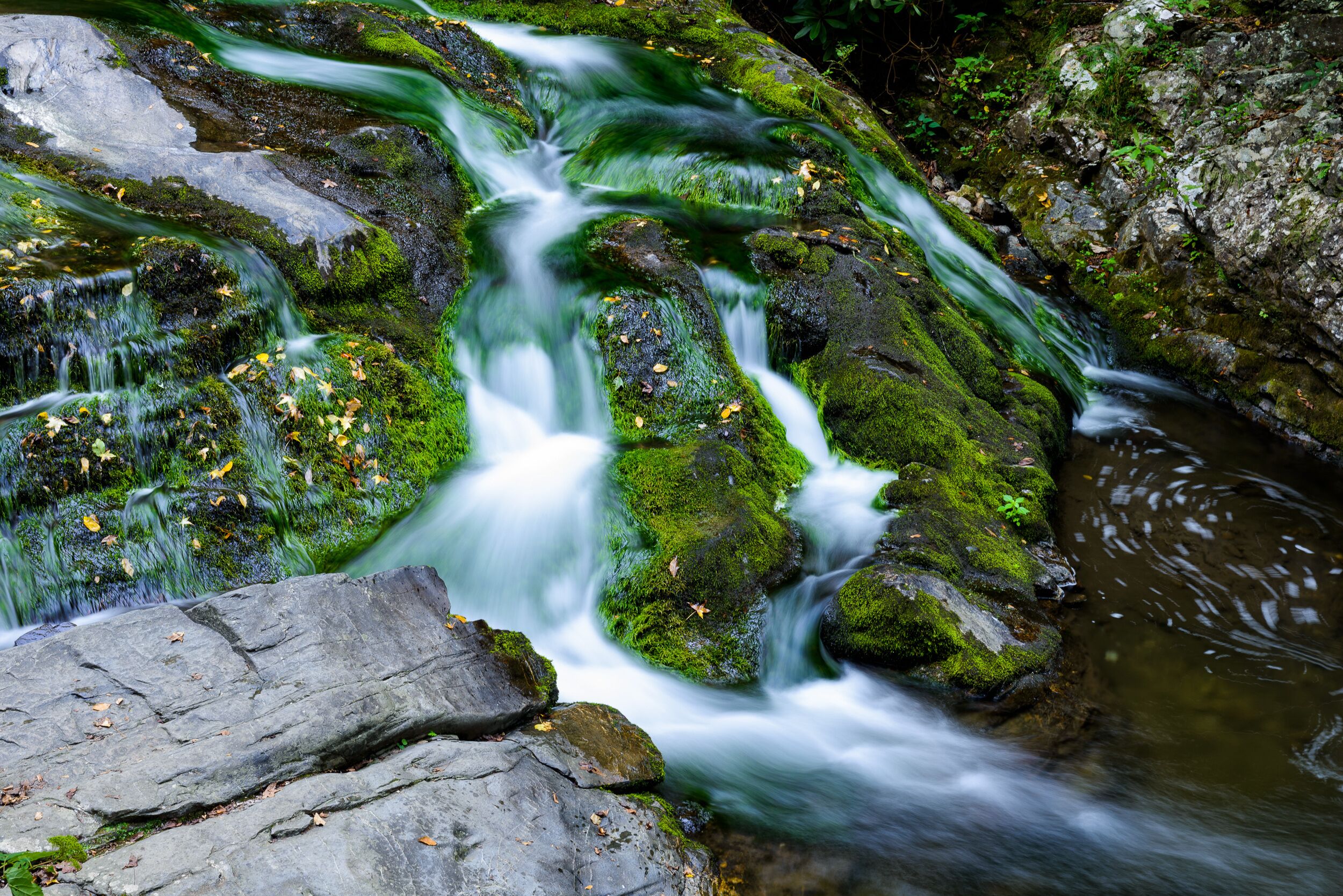 Photo - River Terrace Resort & Convention Center