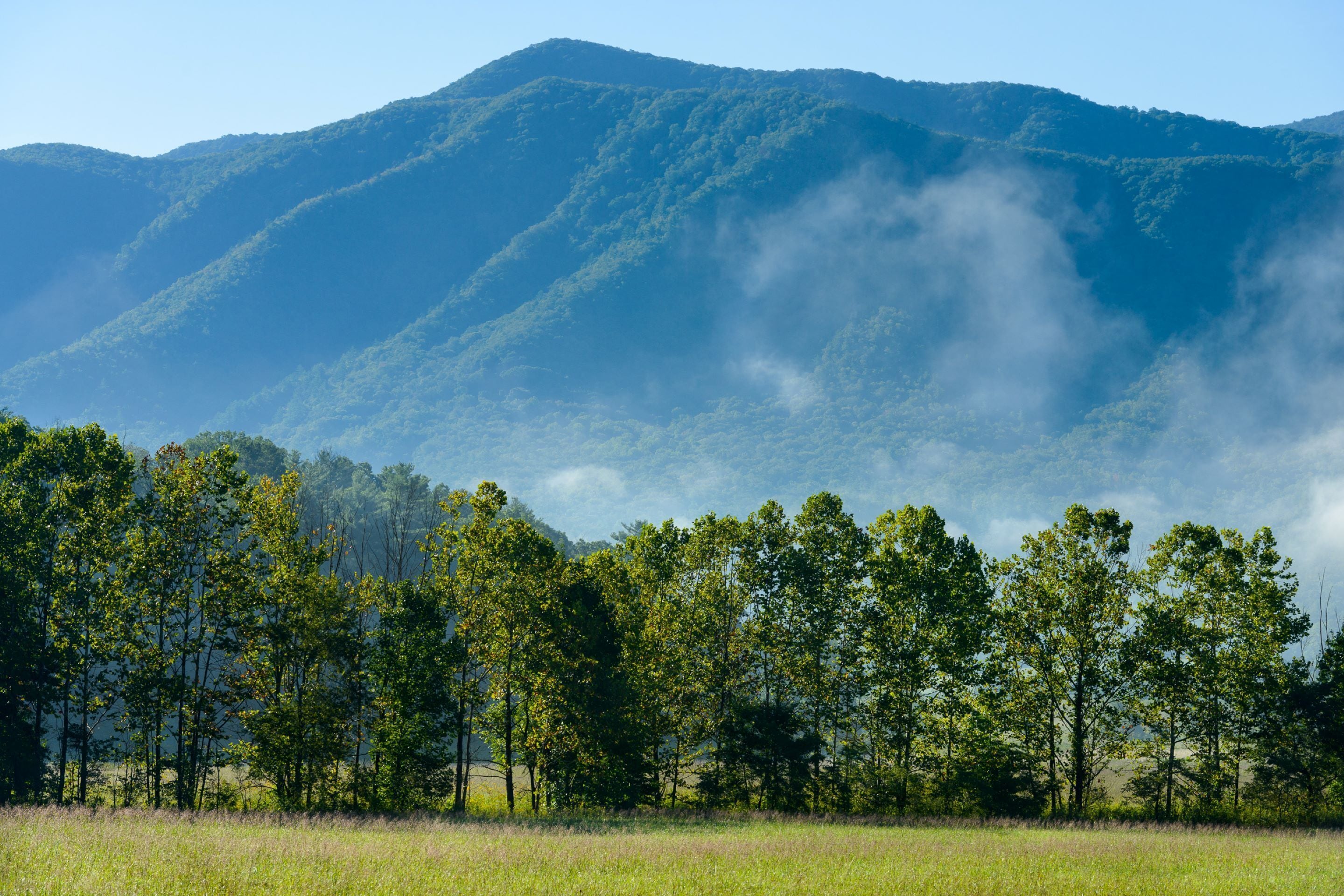 Photo - River Terrace Resort & Convention Center