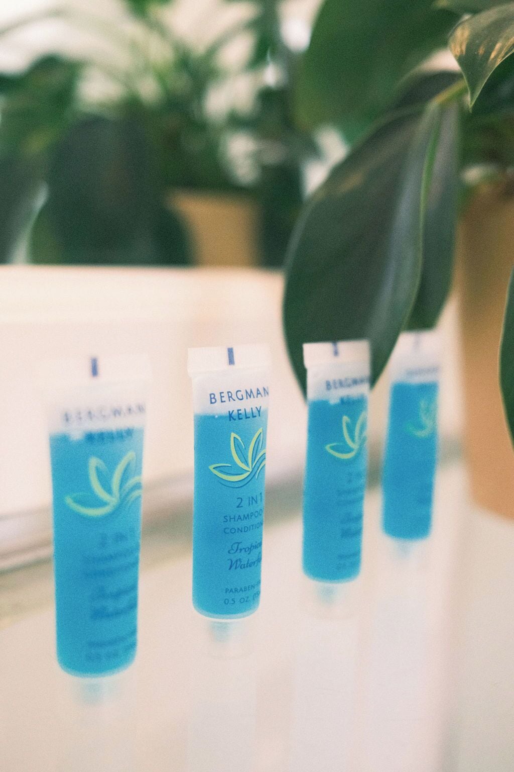 Foto - Century Hotel