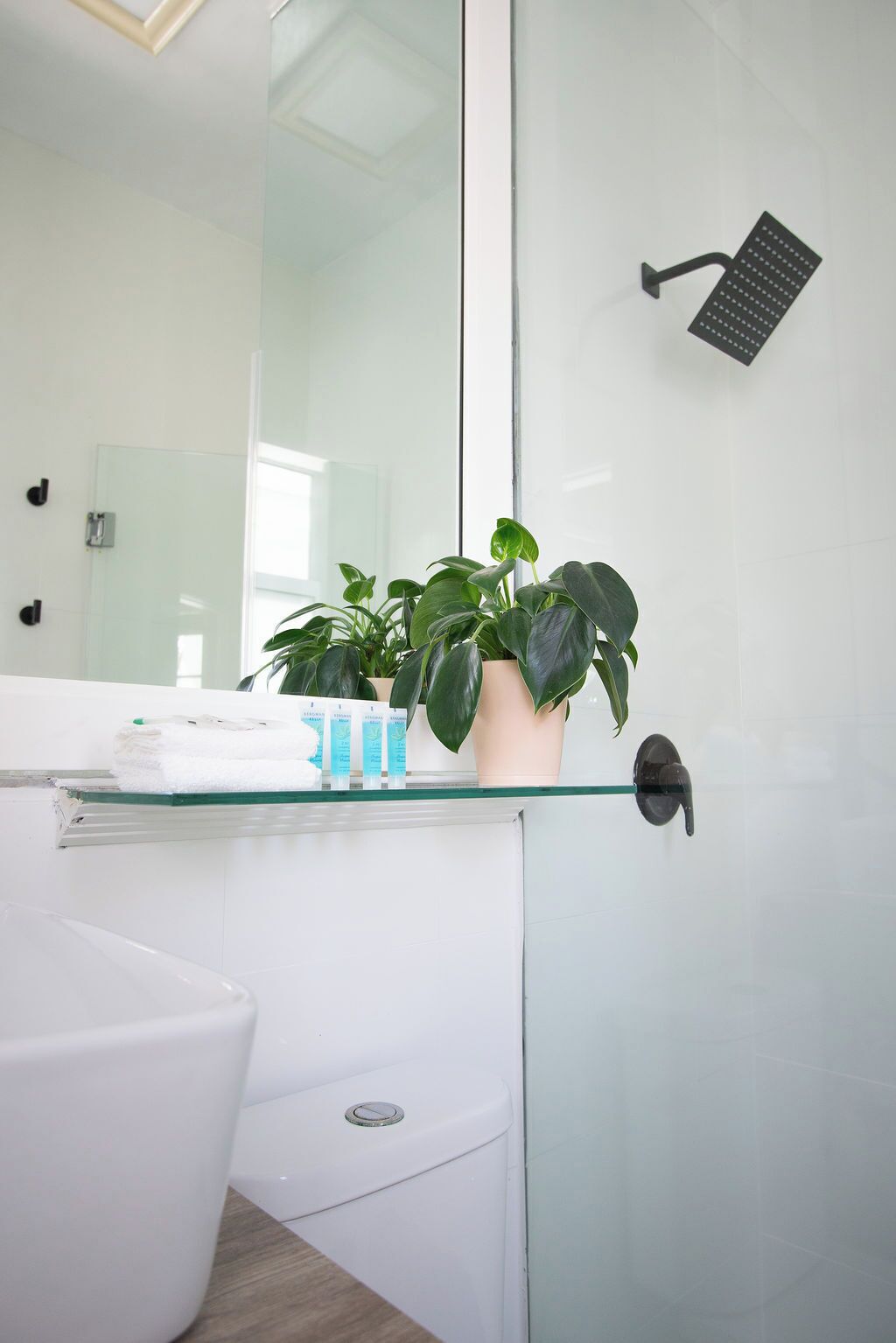 Foto - Century Hotel