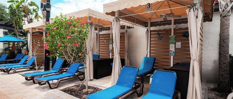 A poolside area with lounge chairs, umbrellas, and a palm tree.