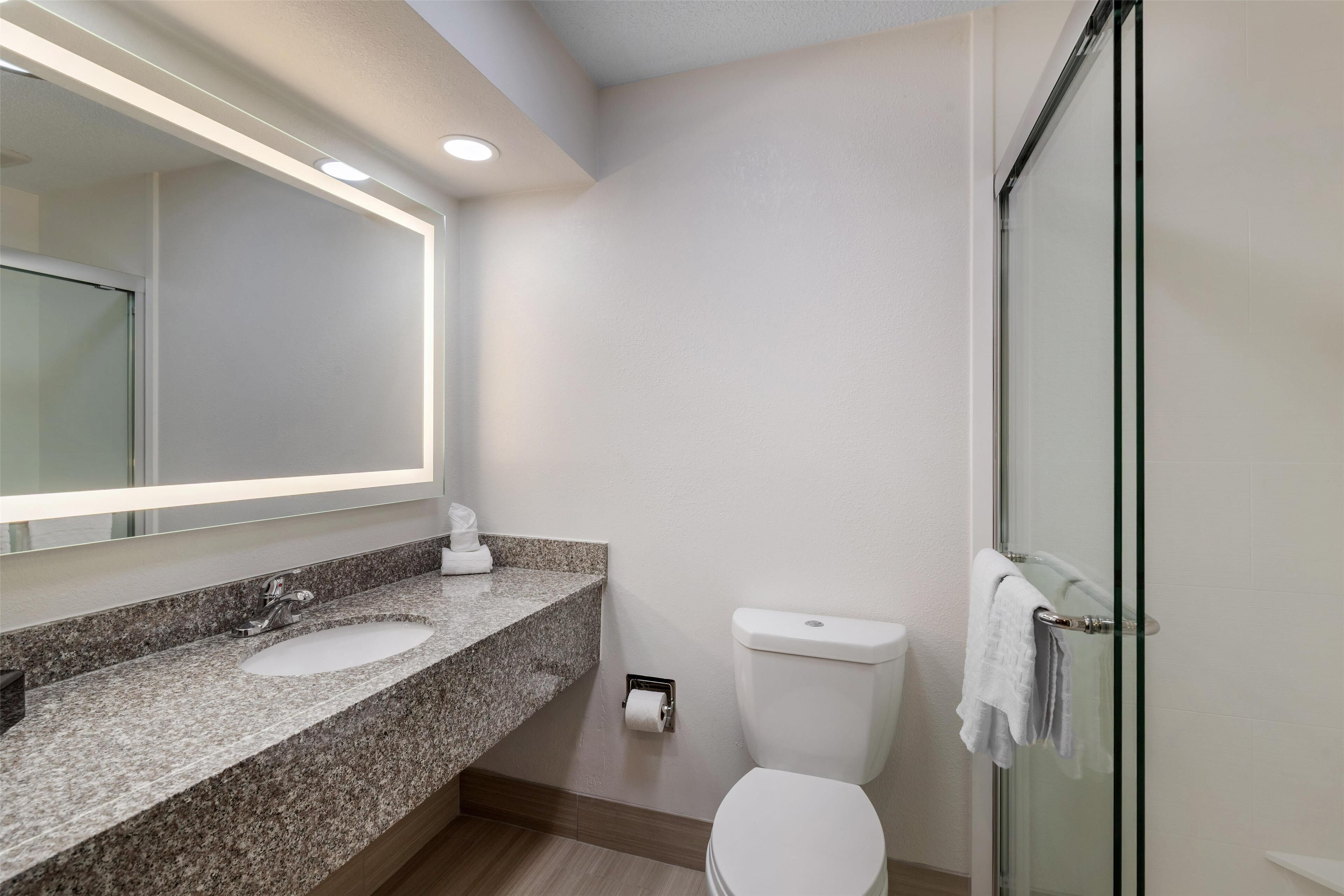 combined shower/bathtub, free toiletries, hair dryer, towels