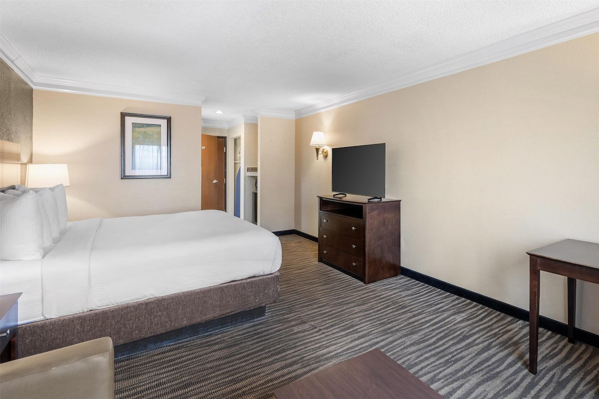 A hotel room with a large bed, a desk, a television, and a lamp.