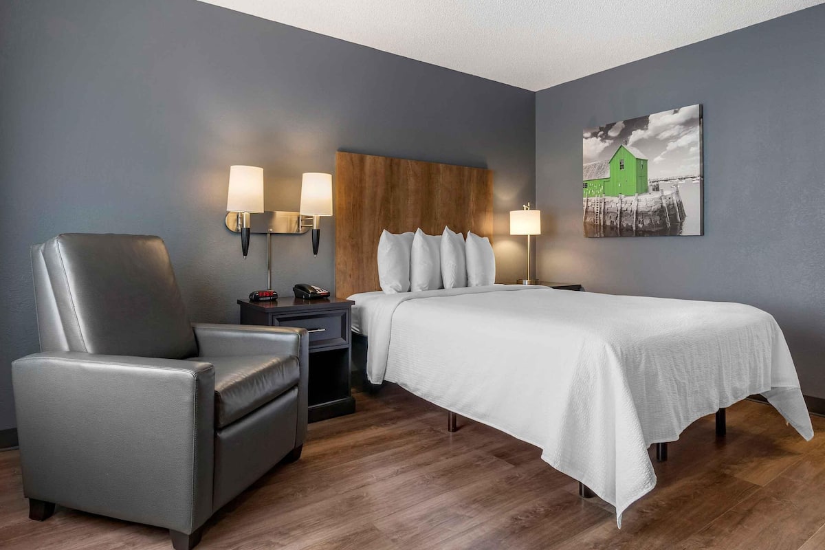Studio, 1 Queen Bed, Accessible, Non Smoking | Desk, iron/ironing board, WiFi (free)