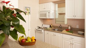 Monolocale Premier, vista montagna | Cucina privata | Frigorifero con congelatore, microonde, forno, piano cottura