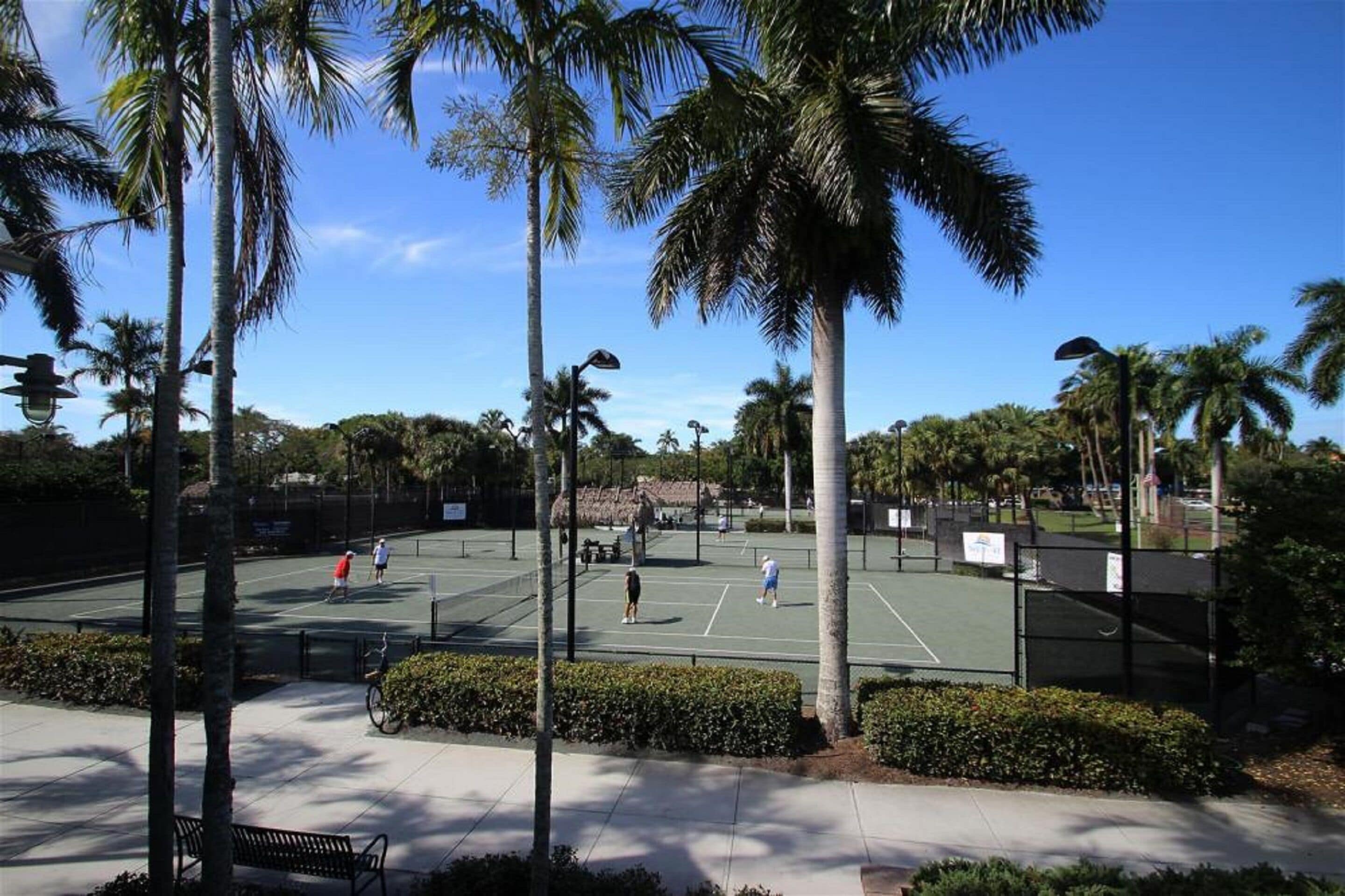 An outdoor tennis court surrounded by palm trees and a clear blue sky.