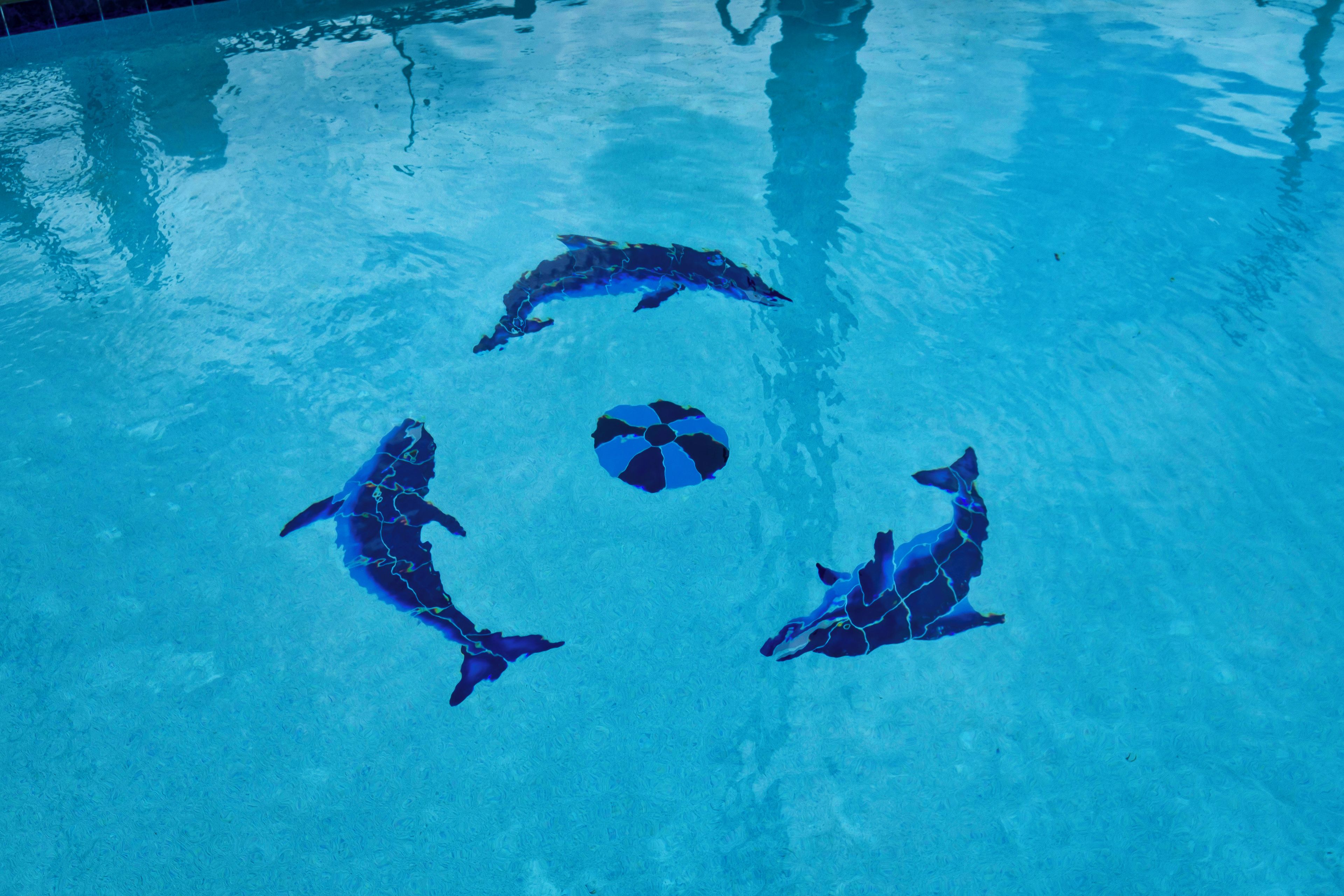 A swimming pool with four dolphins swimming around a central object.