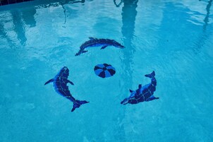 Una piscina con cuatro delfines nadando alrededor de un objeto central.