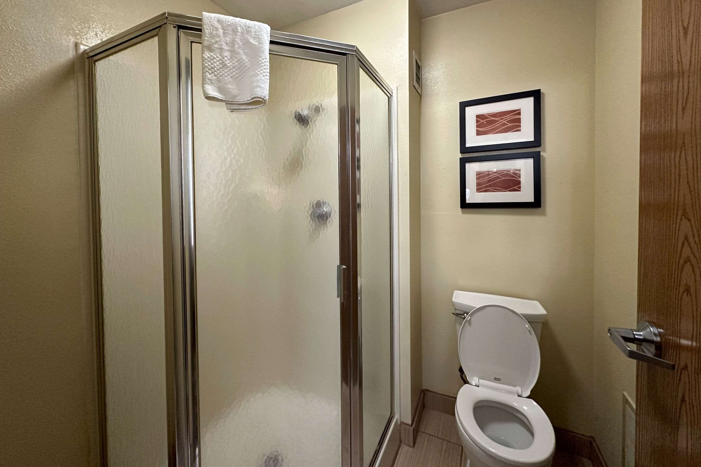 Un baño con ducha de vidrio, un inodoro y dos cuadros en la pared.