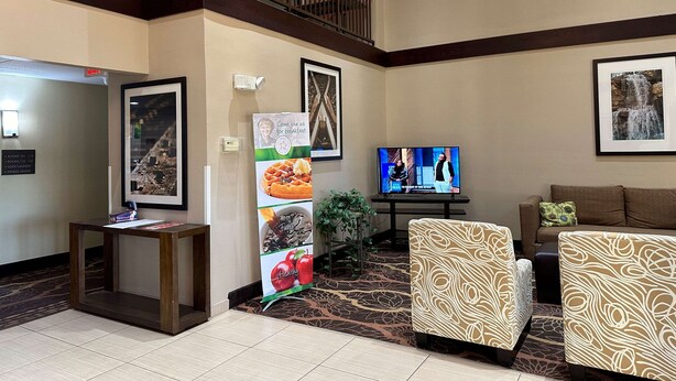Un hall con televisor, cuadros enmarcados, una planta y sillones estampados.