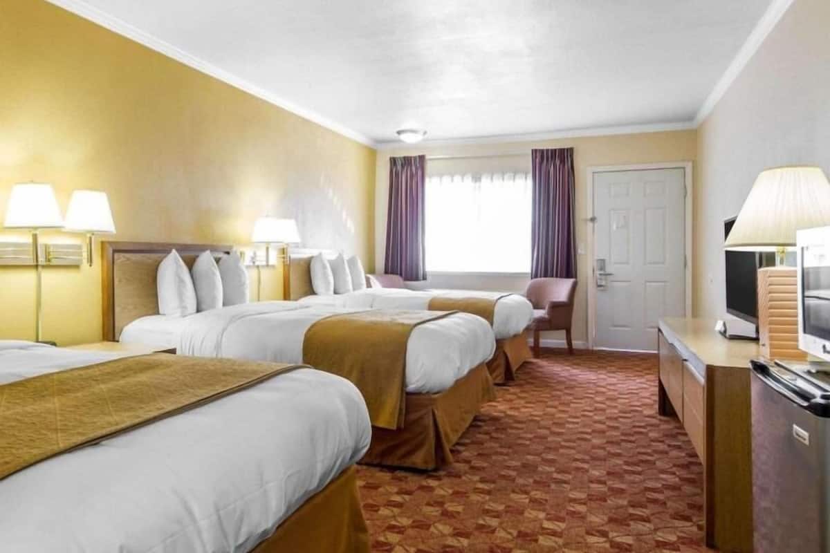 Ein Hotelzimmer mit zwei Betten, einem Schreibtisch, einem Stuhl, einem Fernseher und einer Tür.
