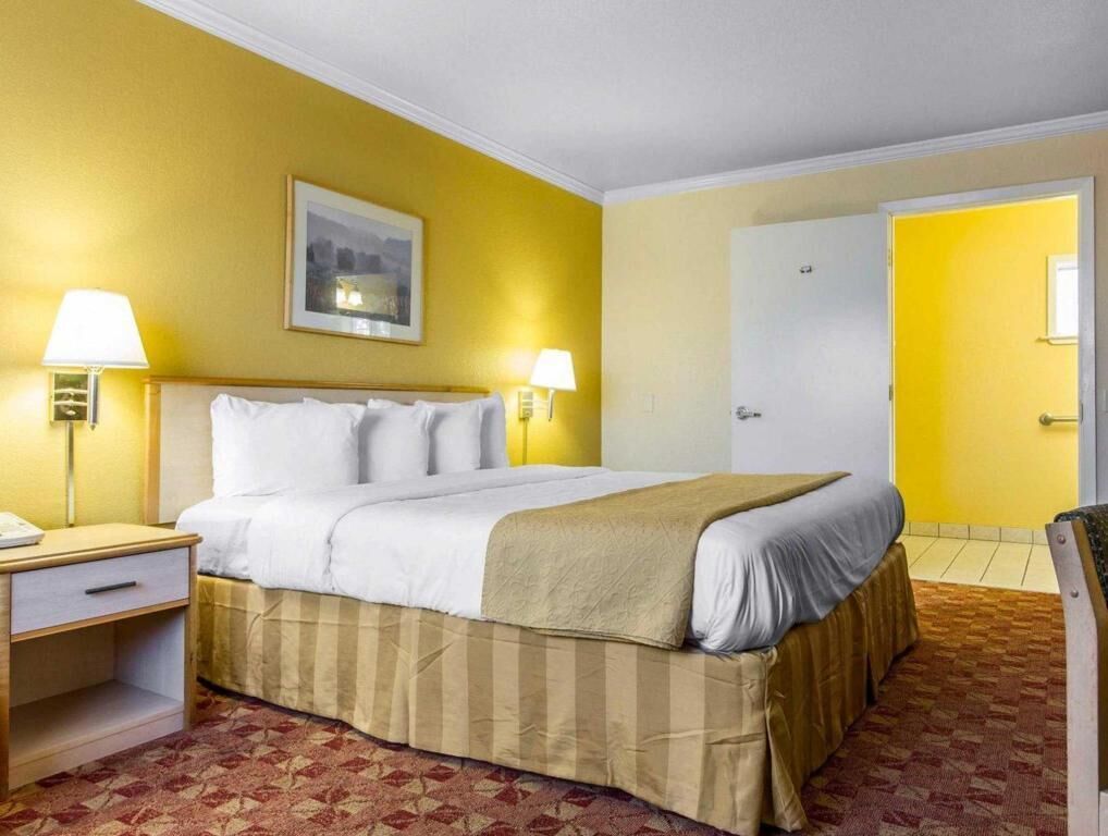 Premium bedding, in-room safe, desk, blackout drapes