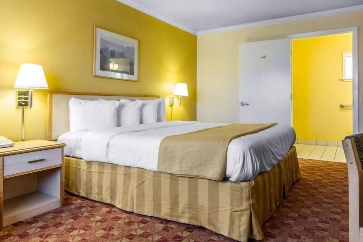 Ein Hotelzimmer mit einem Bett, Nachttischen, einer Lampe, einer Tür und einem gemusterten Teppich.