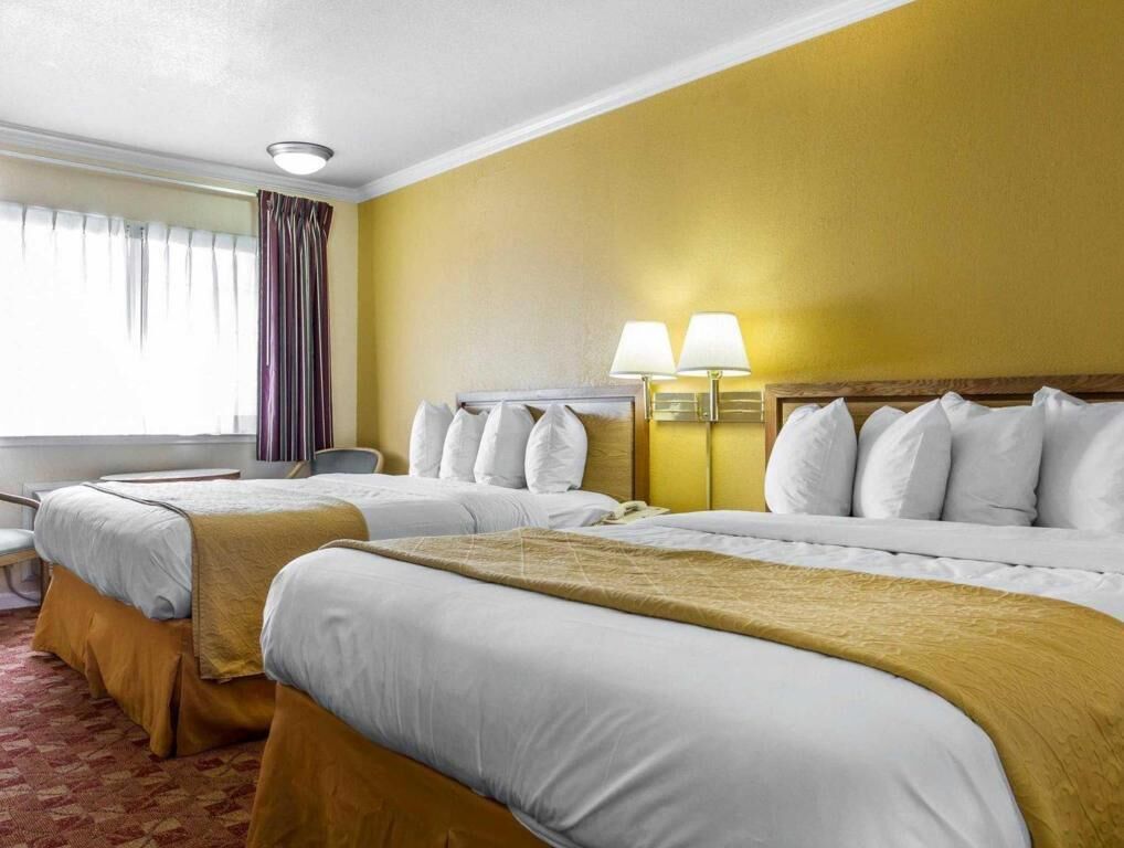 Premium bedding, in-room safe, desk, blackout drapes
