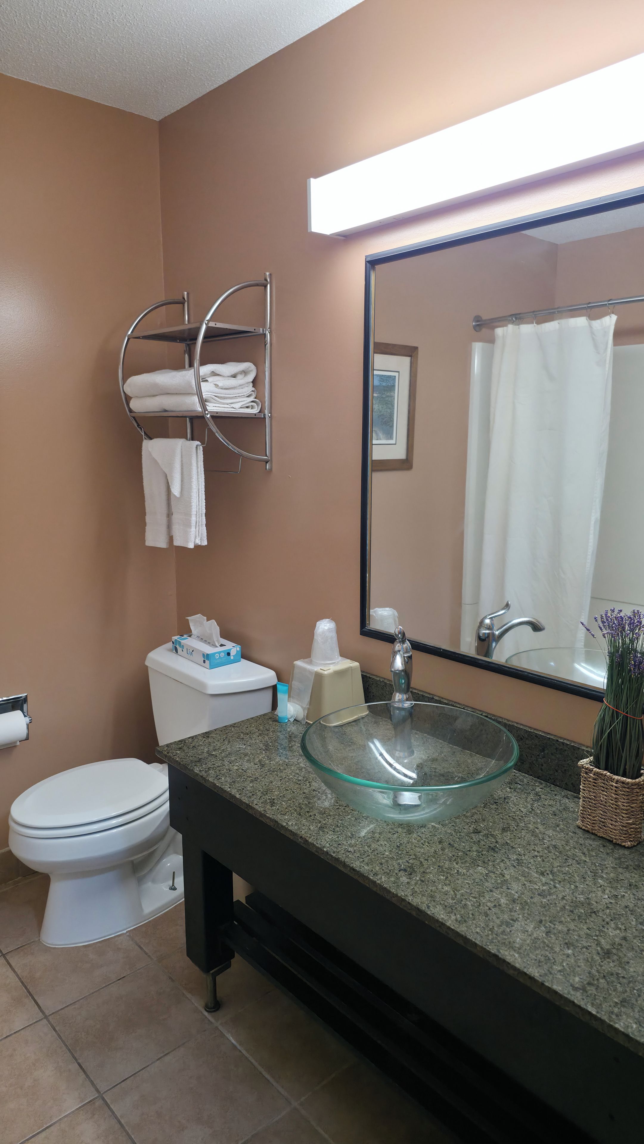 Une salle de bain avec un lavabo en forme de bol en verre, un porte-serviettes avec des serviettes pliées, des toilettes et un rideau de douche.