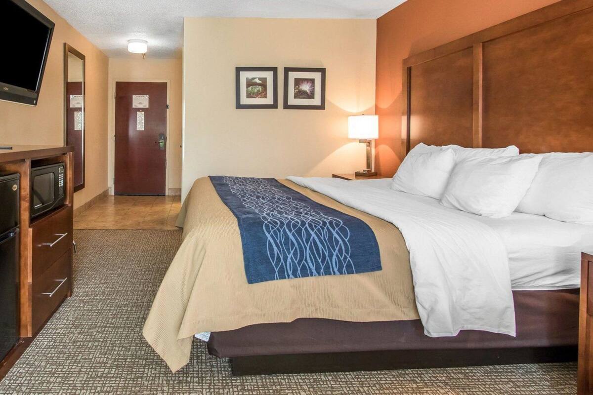 Premium bedding, down duvets, in-room safe, desk