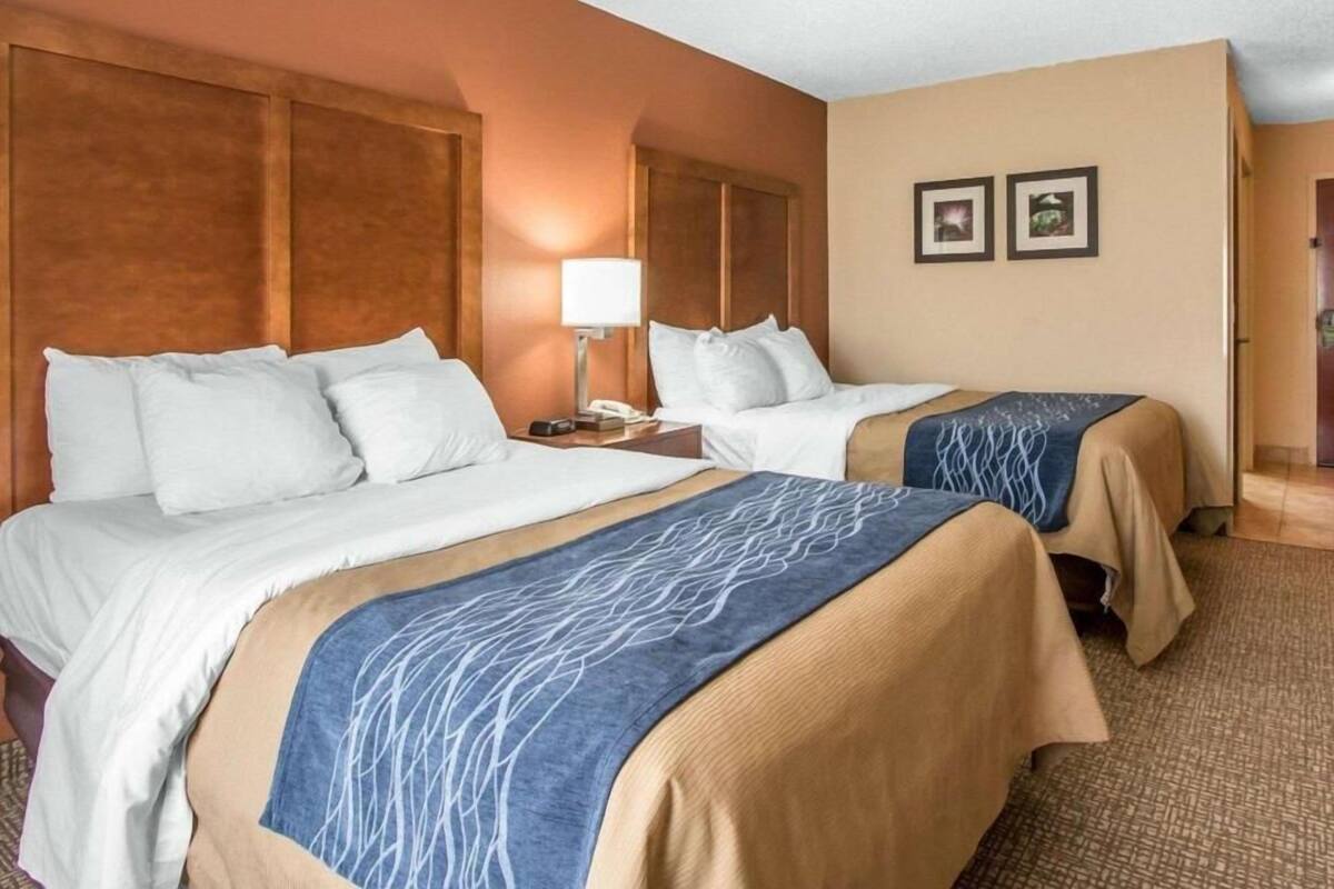 Premium bedding, down duvets, in-room safe, desk