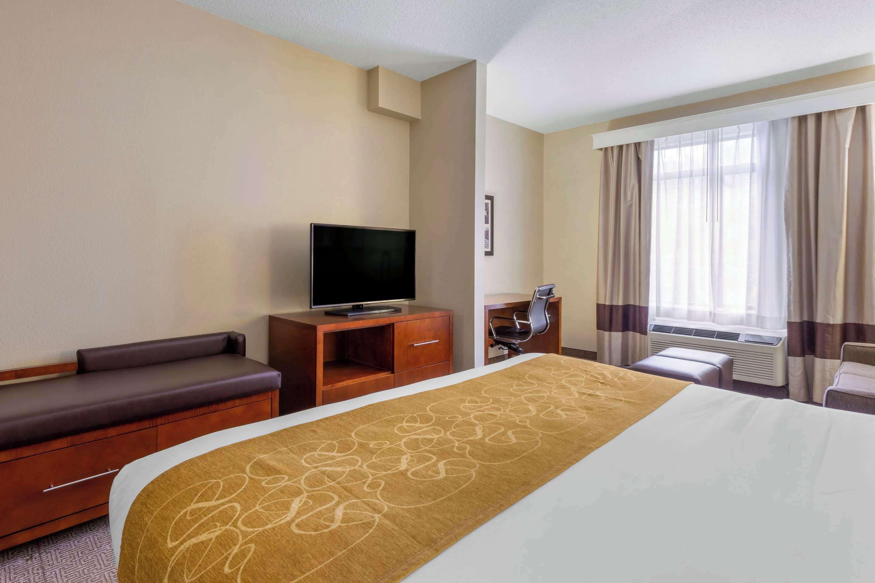Une chambre d’hôtel avec un lit, un téléviseur posé sur un meuble en bois, un coin salon avec un banc et une fenêtre avec des rideaux.