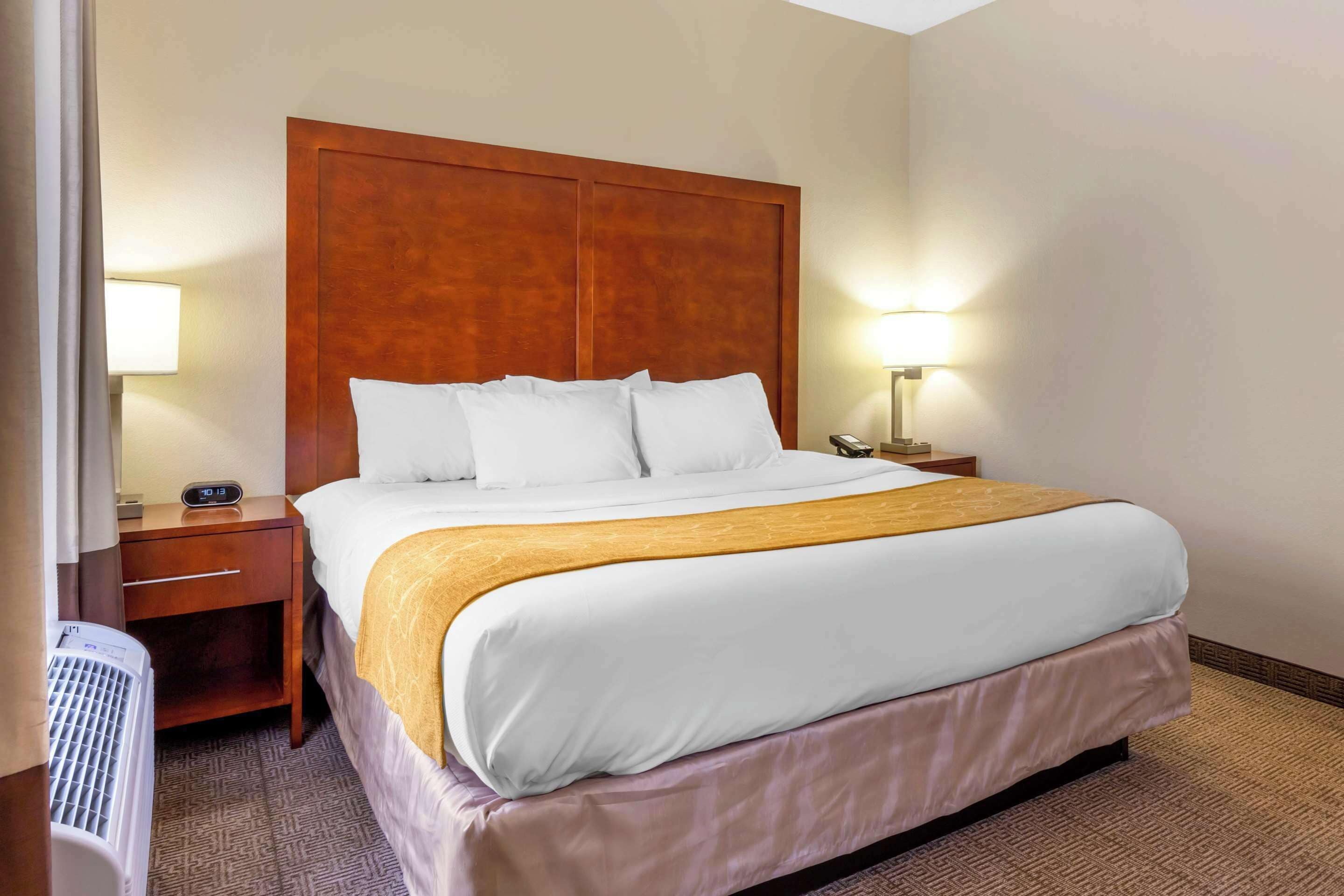 suite, 1 king bed with sofa bed, non smoking (upgrade) | iron/ironing board, free cots/infant beds, free wifi, bed sheets