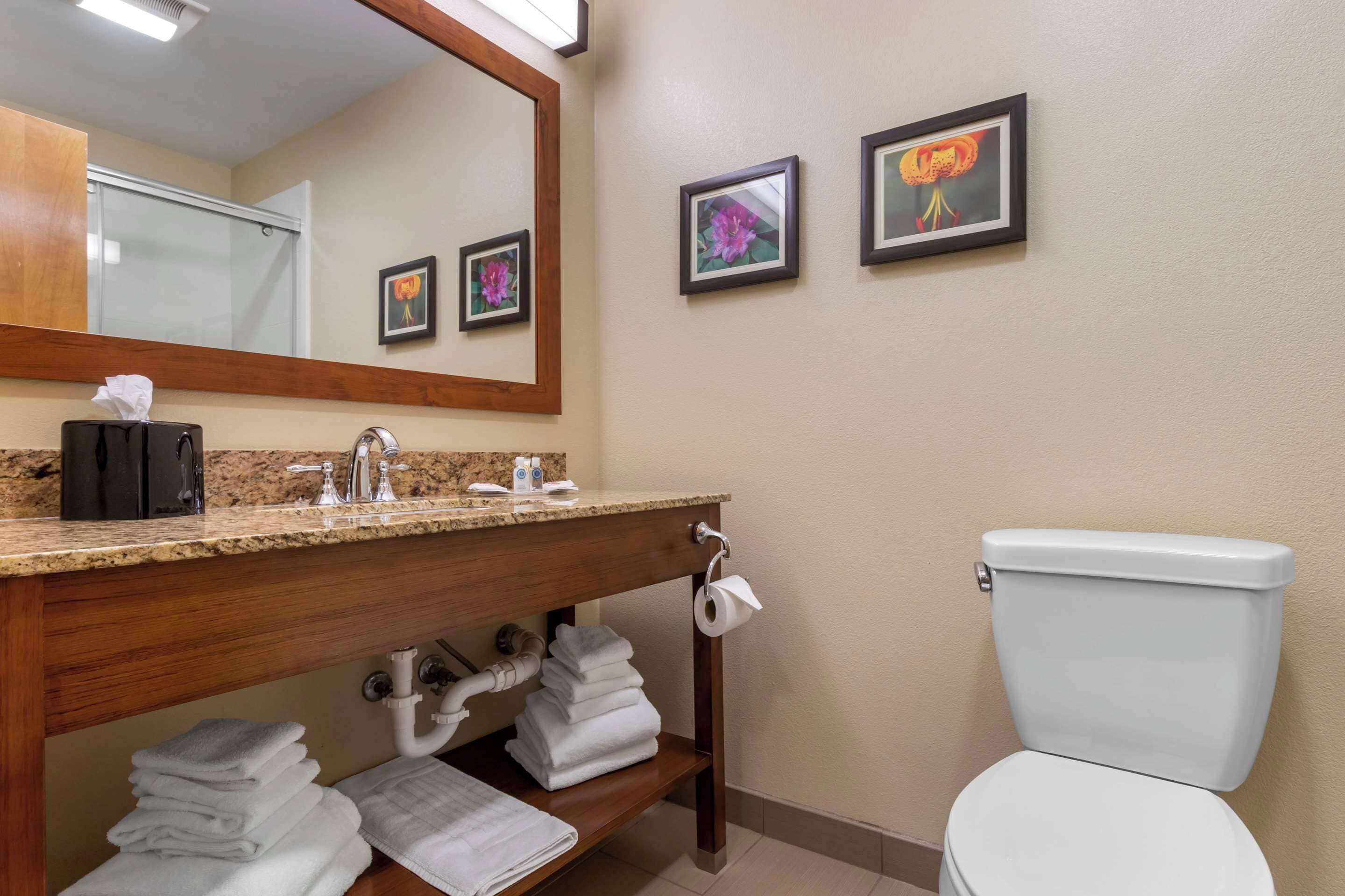 Un baño con lavabo, espejo, inodoro y toalleros.
