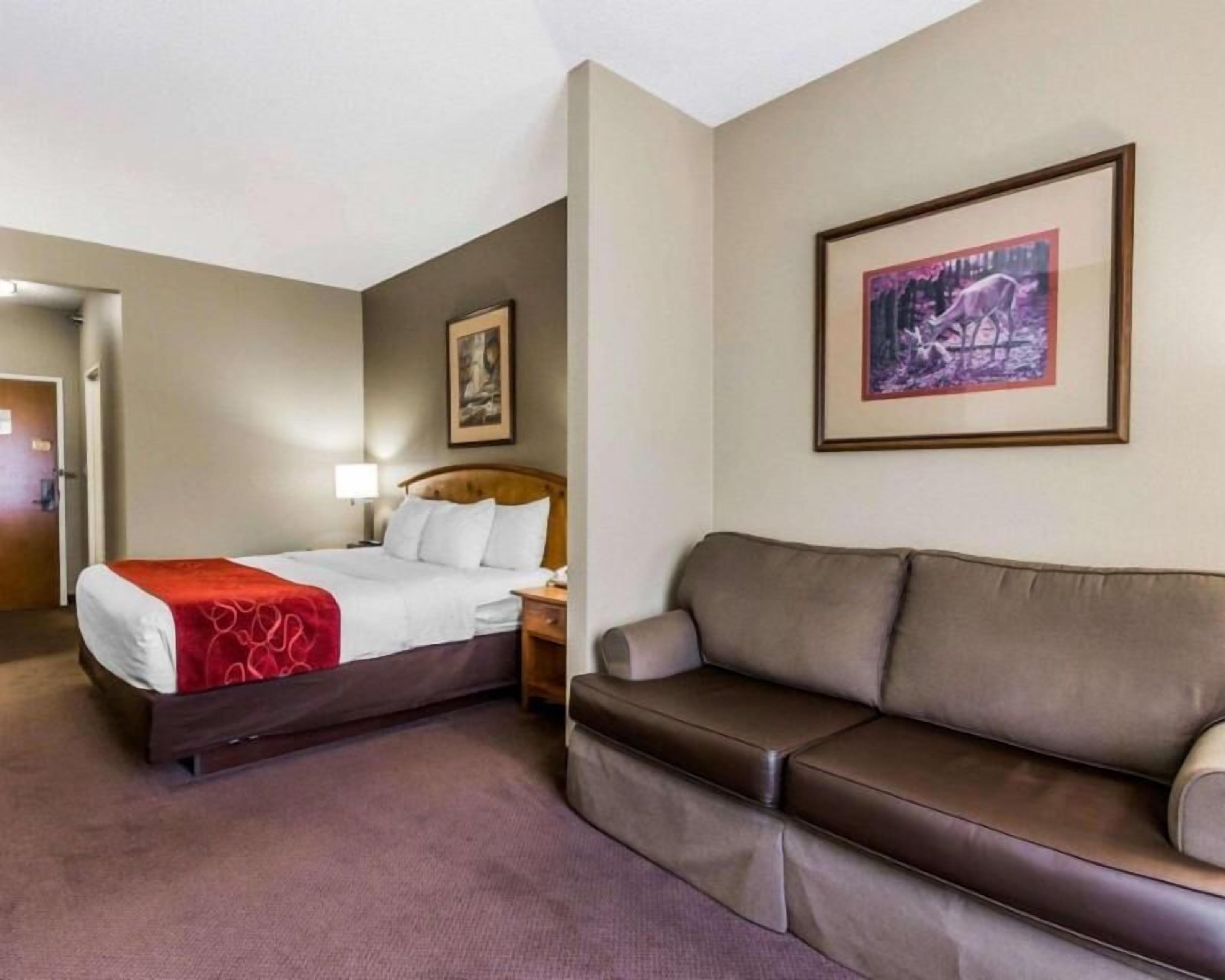 Iron/ironing board, free cribs/infant beds, free WiFi, bed sheets