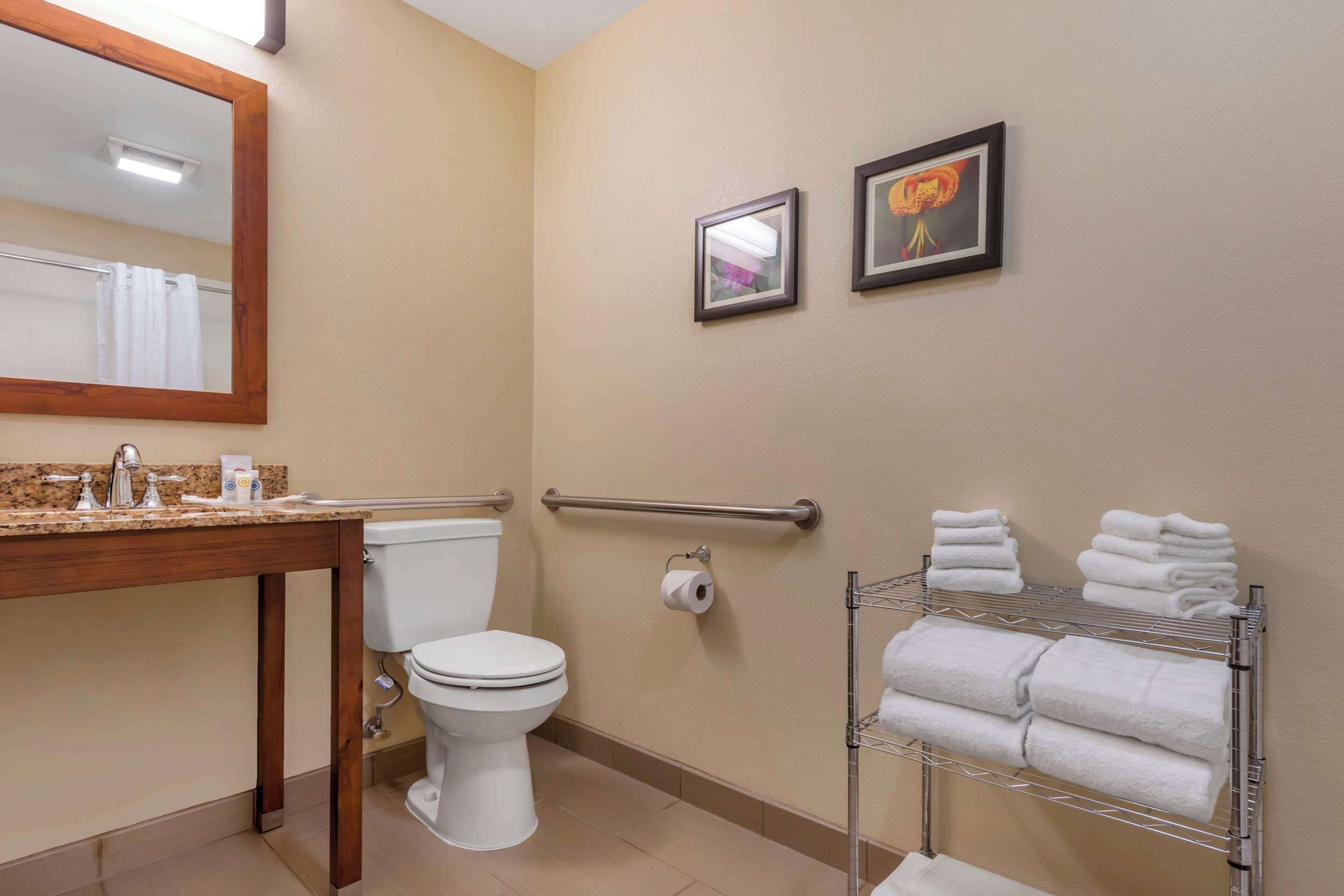 suite, 1 king bed with sofa bed, accessible, non smoking | iron/ironing board, free cots/infant beds, free wifi, bed sheets